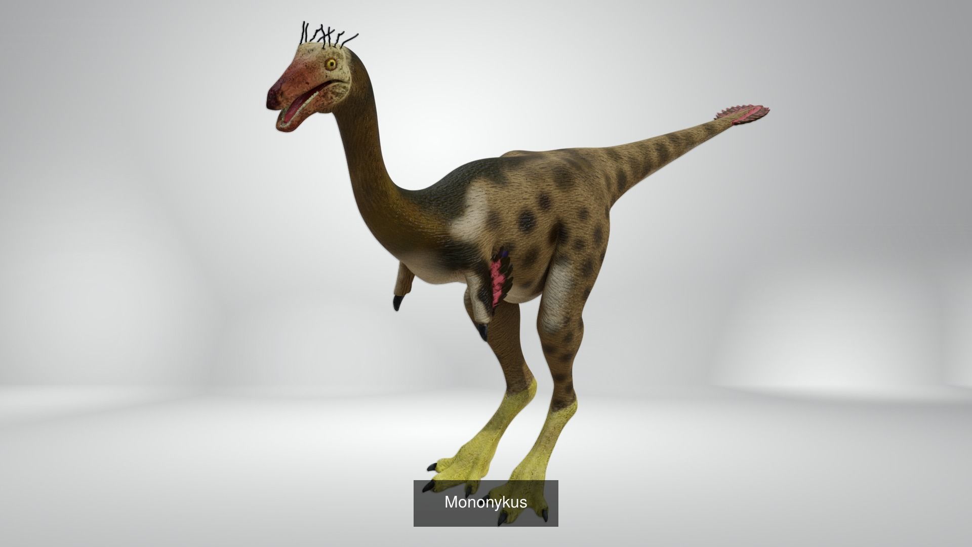 24 Dinosaur Models pack Low-Poly 3D model 3D Model Collection_17