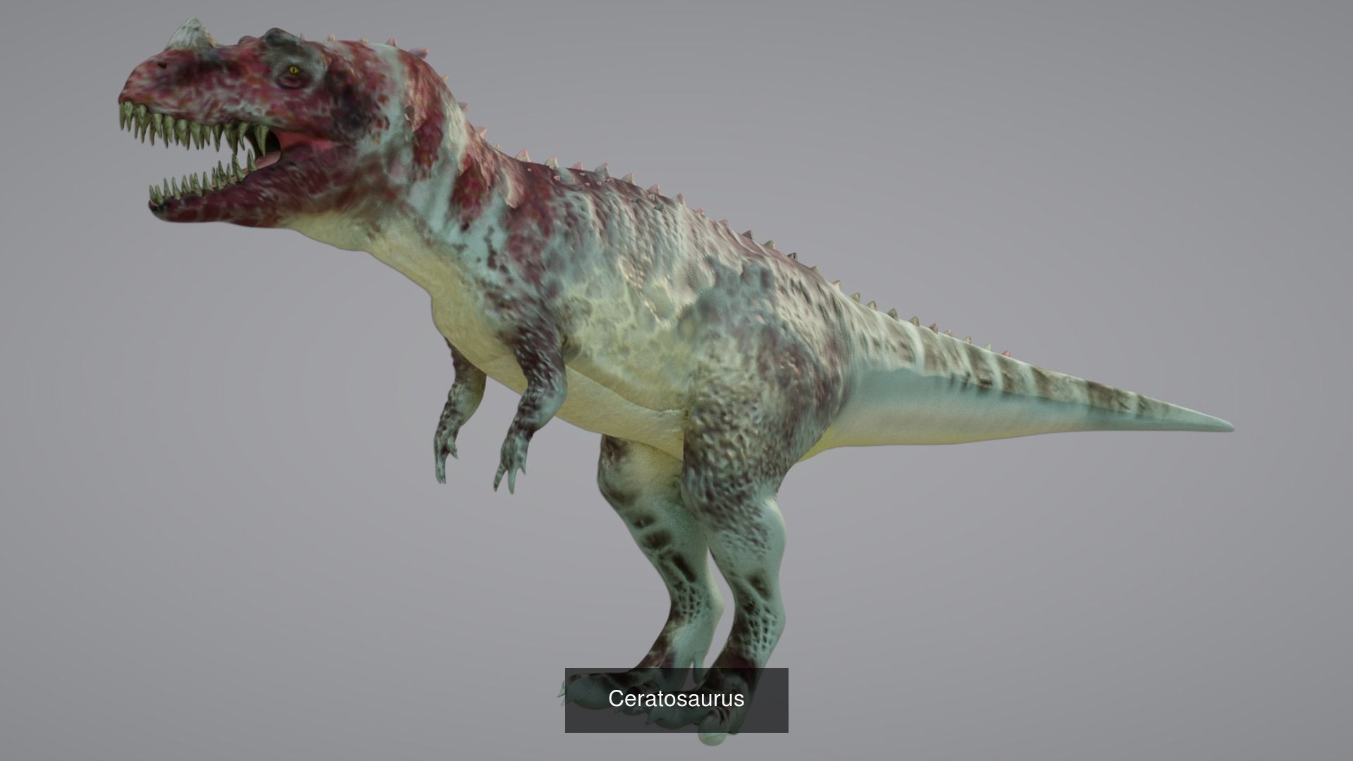 24 Dinosaur Models pack Low-Poly 3D model 3D Model Collection_11