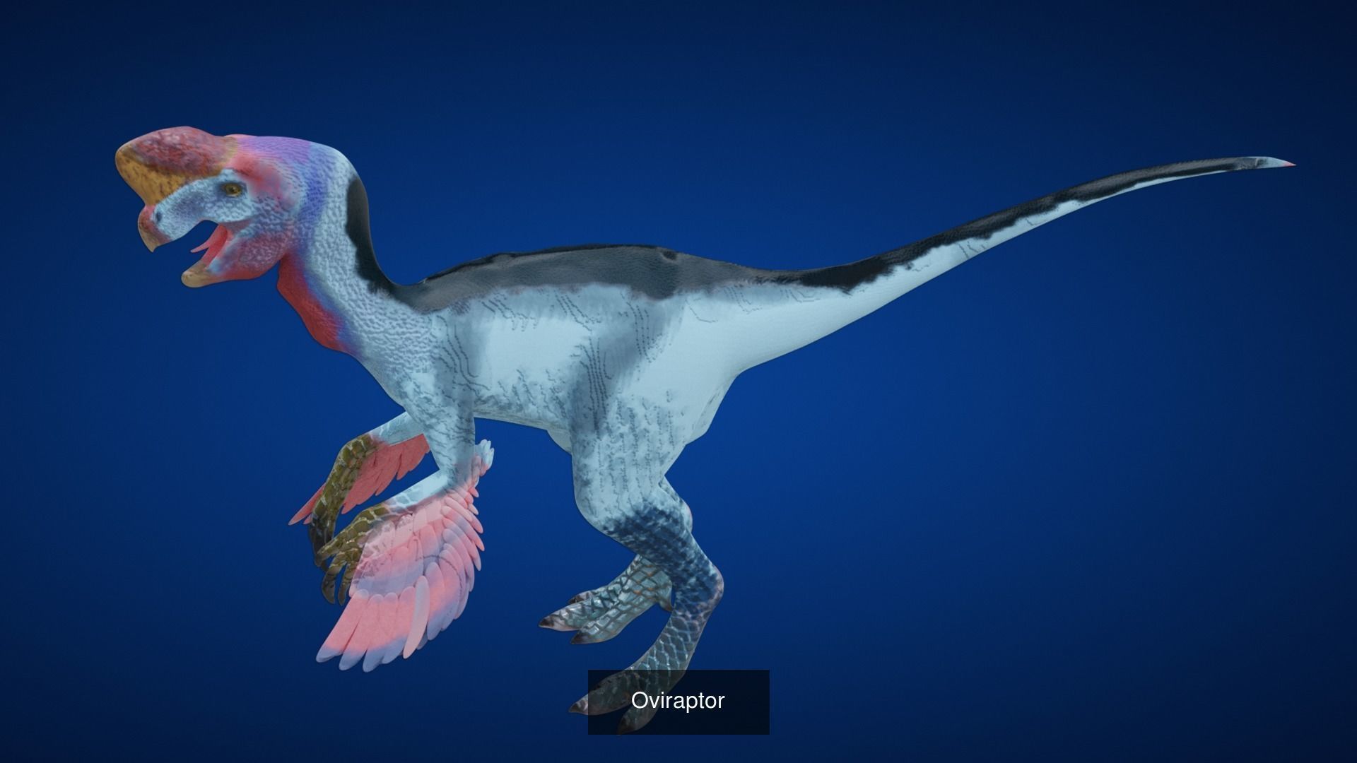 24 Dinosaur Models pack Low-Poly 3D model 3D Model Collection_4