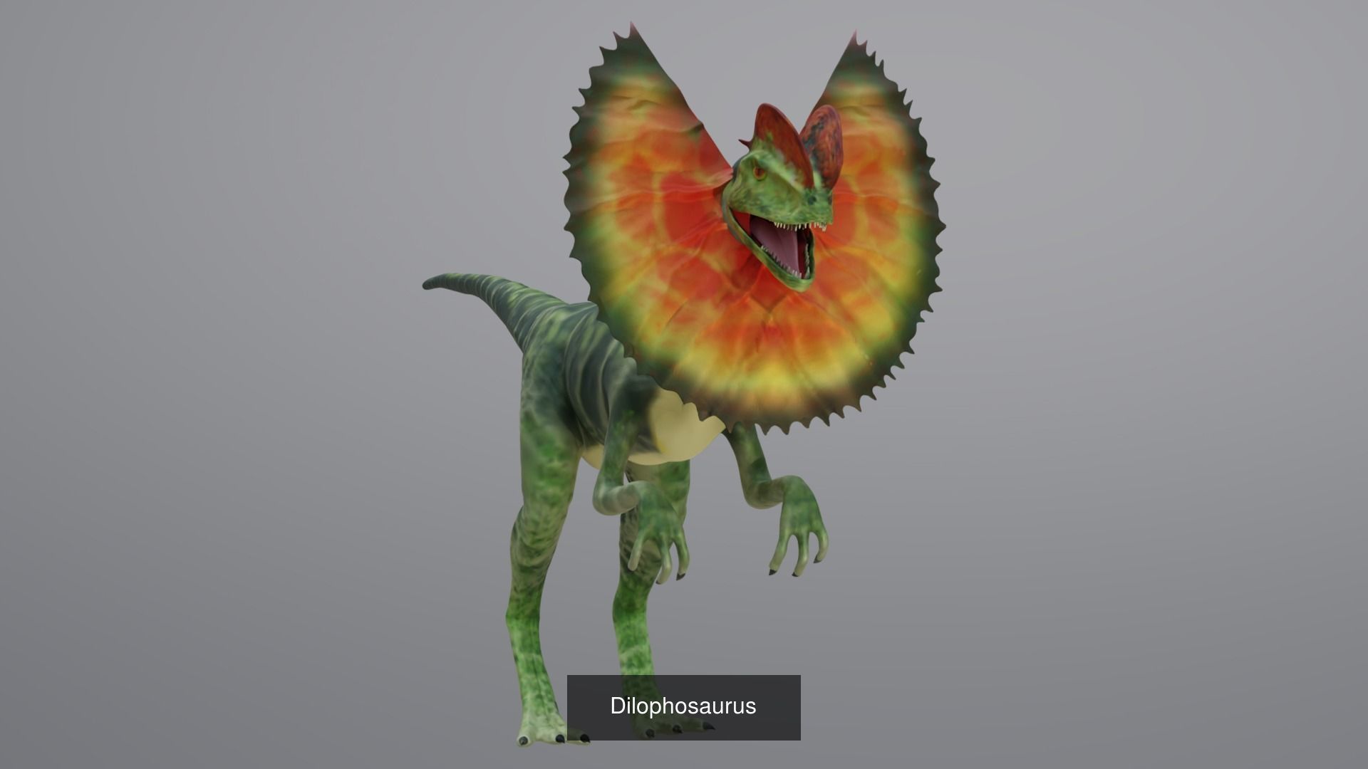 24 Dinosaur Models pack Low-Poly 3D model 3D Model Collection_3
