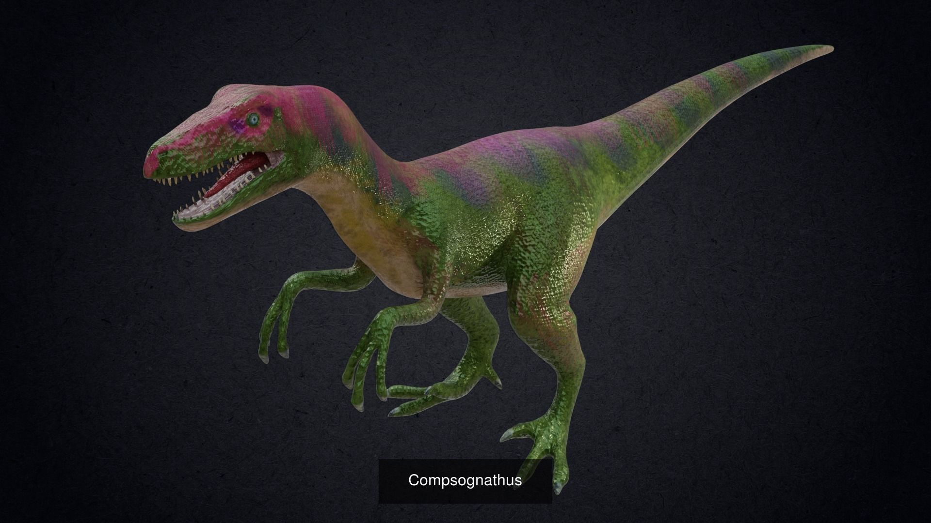 24 Dinosaur Models pack Low-Poly 3D model 3D Model Collection_19