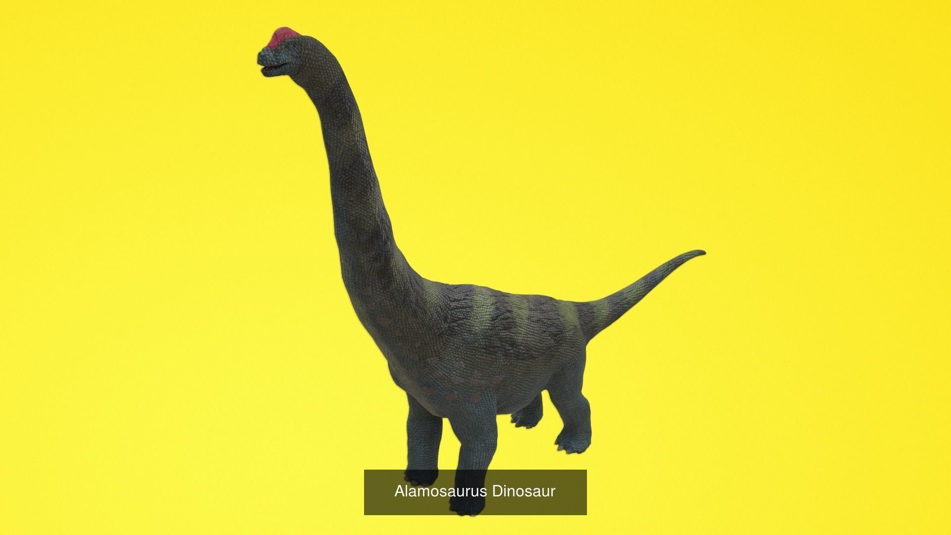 24 Dinosaur Models pack Low-Poly 3D model 3D Model Collection_14