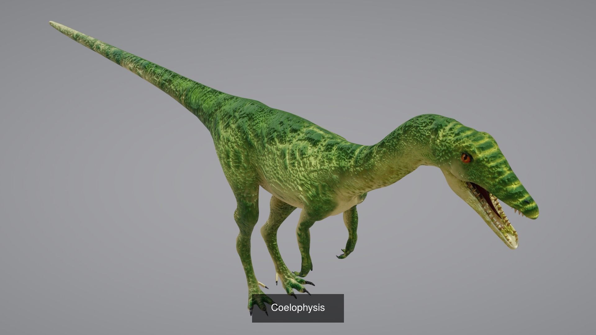 24 Dinosaur Models pack Low-Poly 3D model 3D Model Collection_9