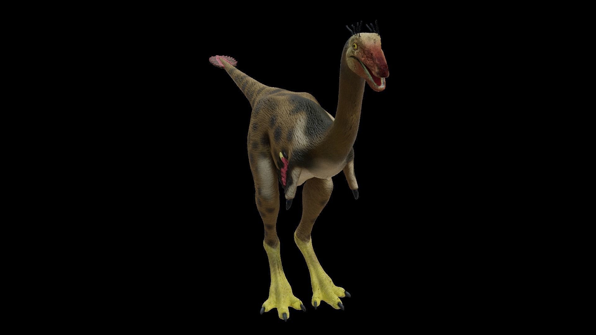 24 Dinosaur Models pack Low-Poly 3D model 3D Model Collection_67