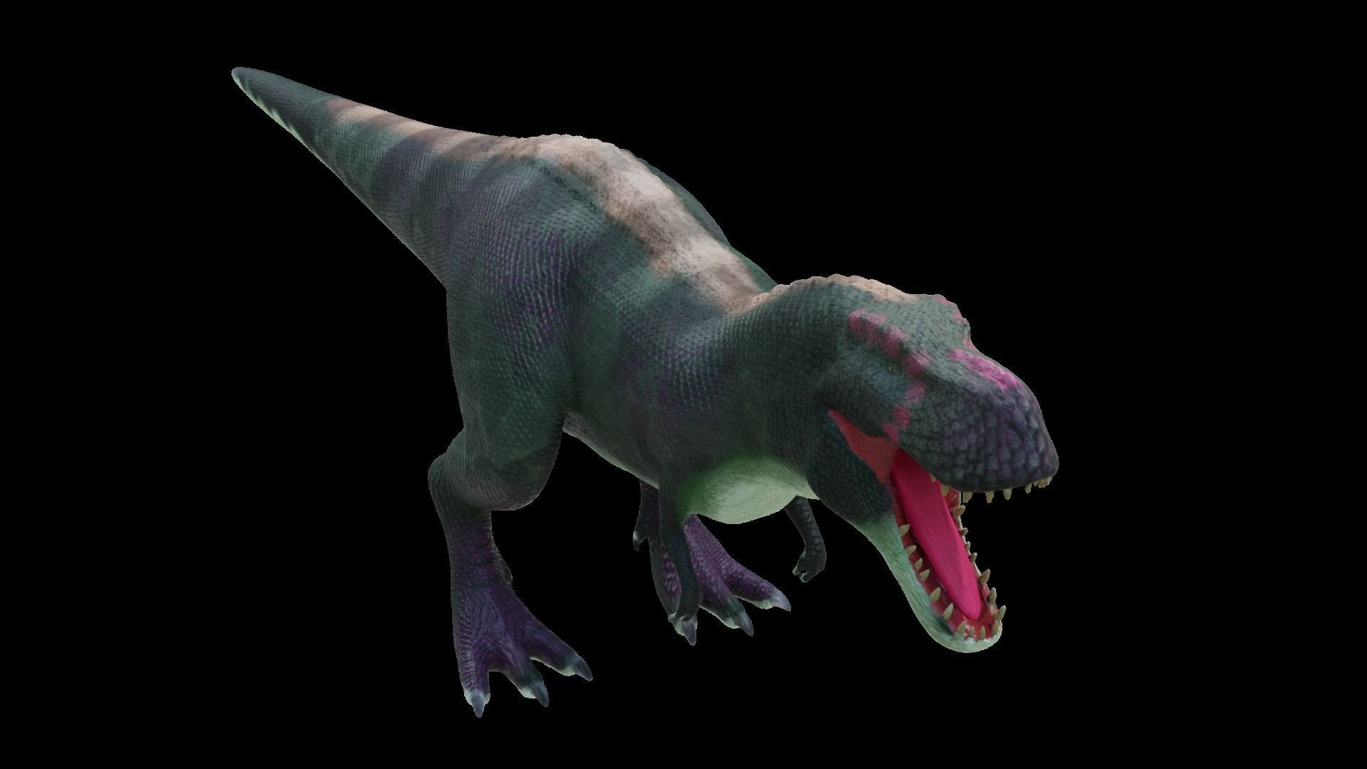 24 Dinosaur Models pack Low-Poly 3D model 3D Model Collection_76