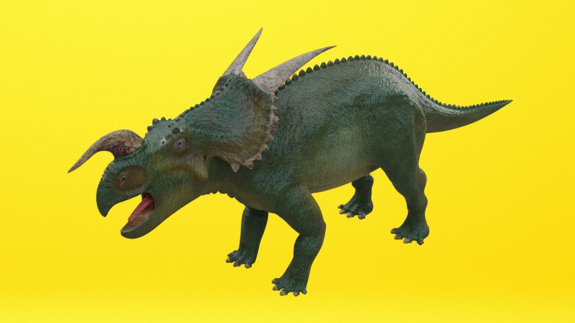 24 Dinosaur Models pack Low-Poly 3D model 3D Model Collection_33