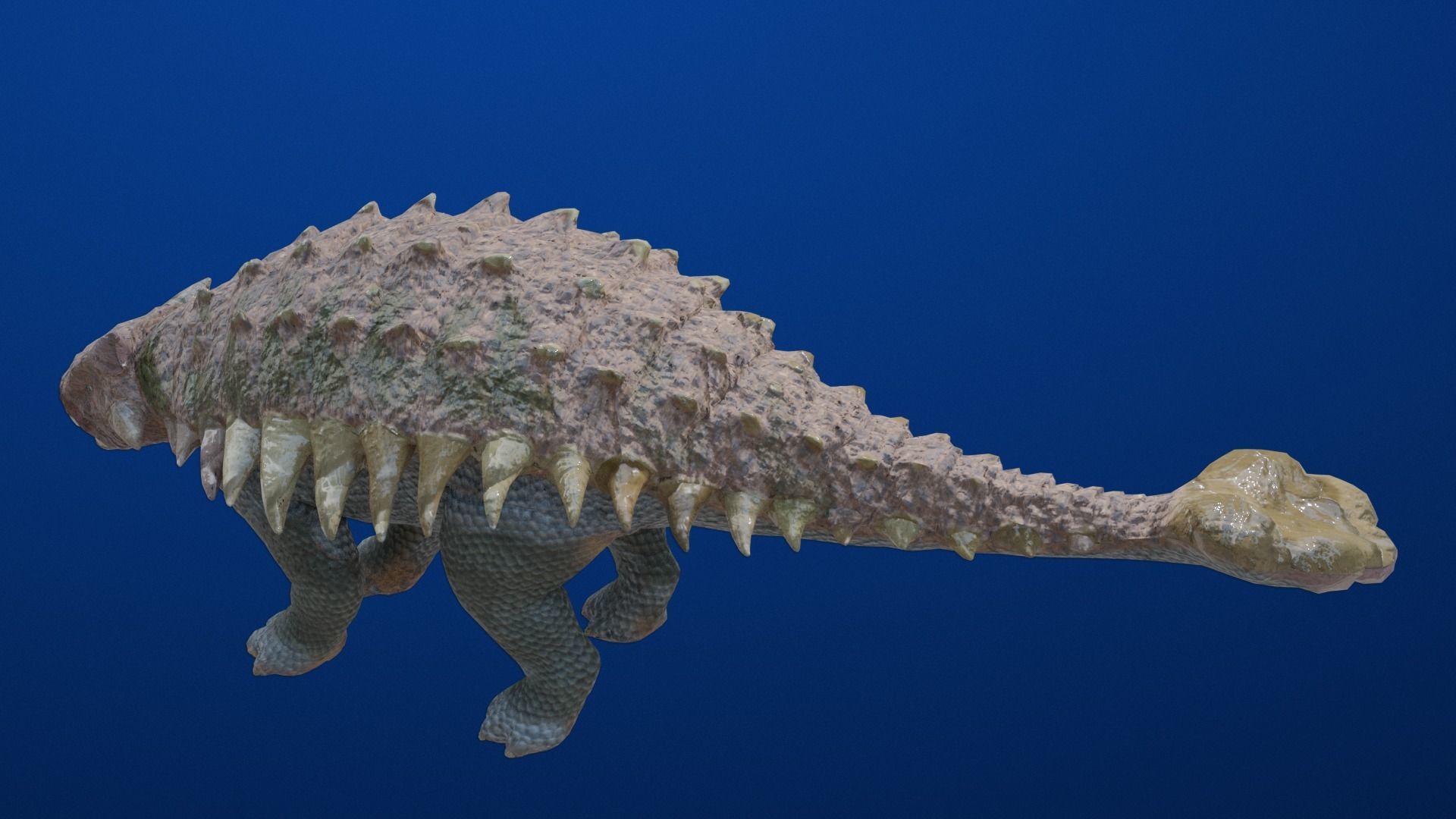 24 Dinosaur Models pack Low-Poly 3D model 3D Model Collection_26