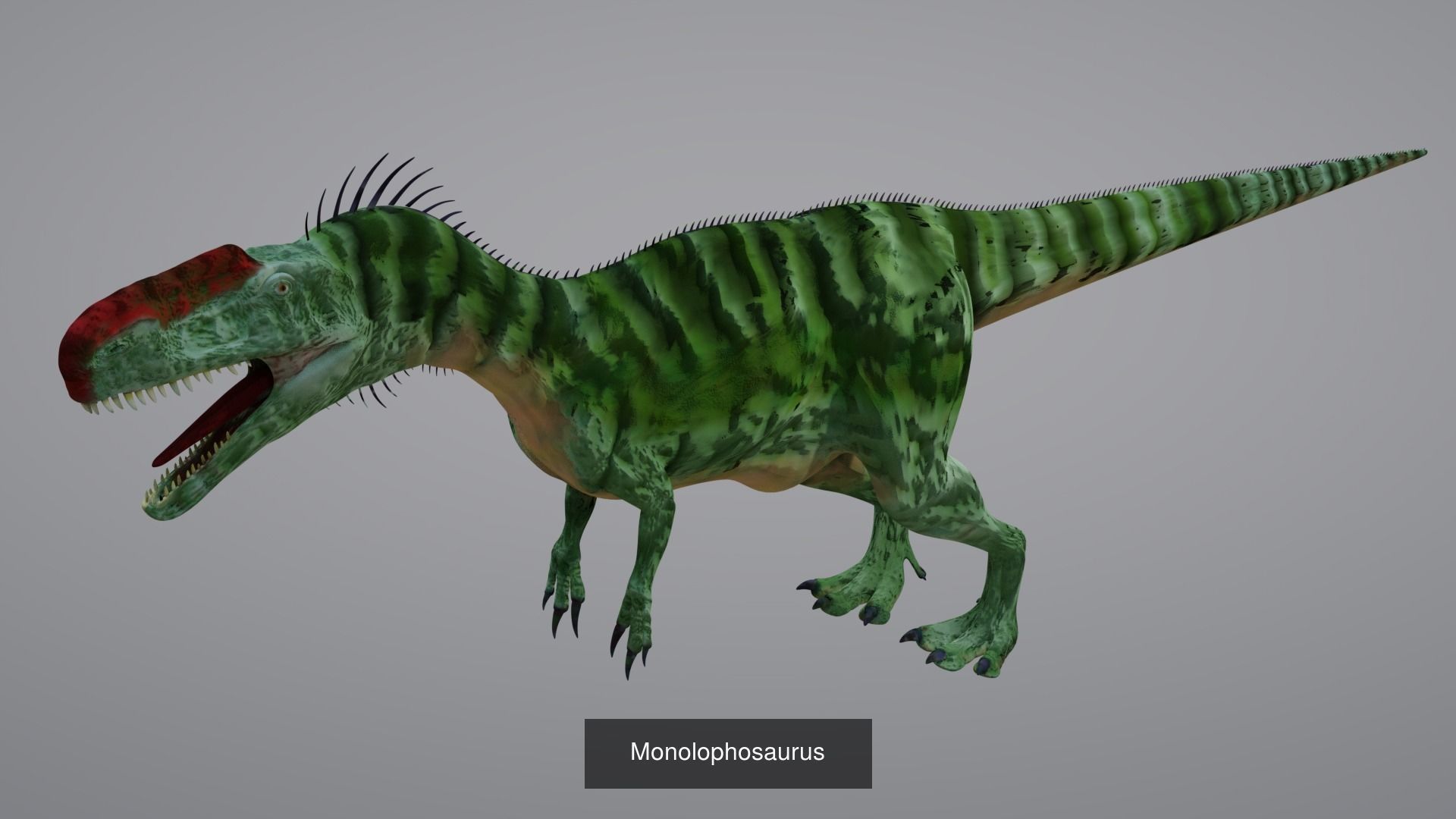 24 Dinosaur Models pack Low-Poly 3D model 3D Model Collection_5