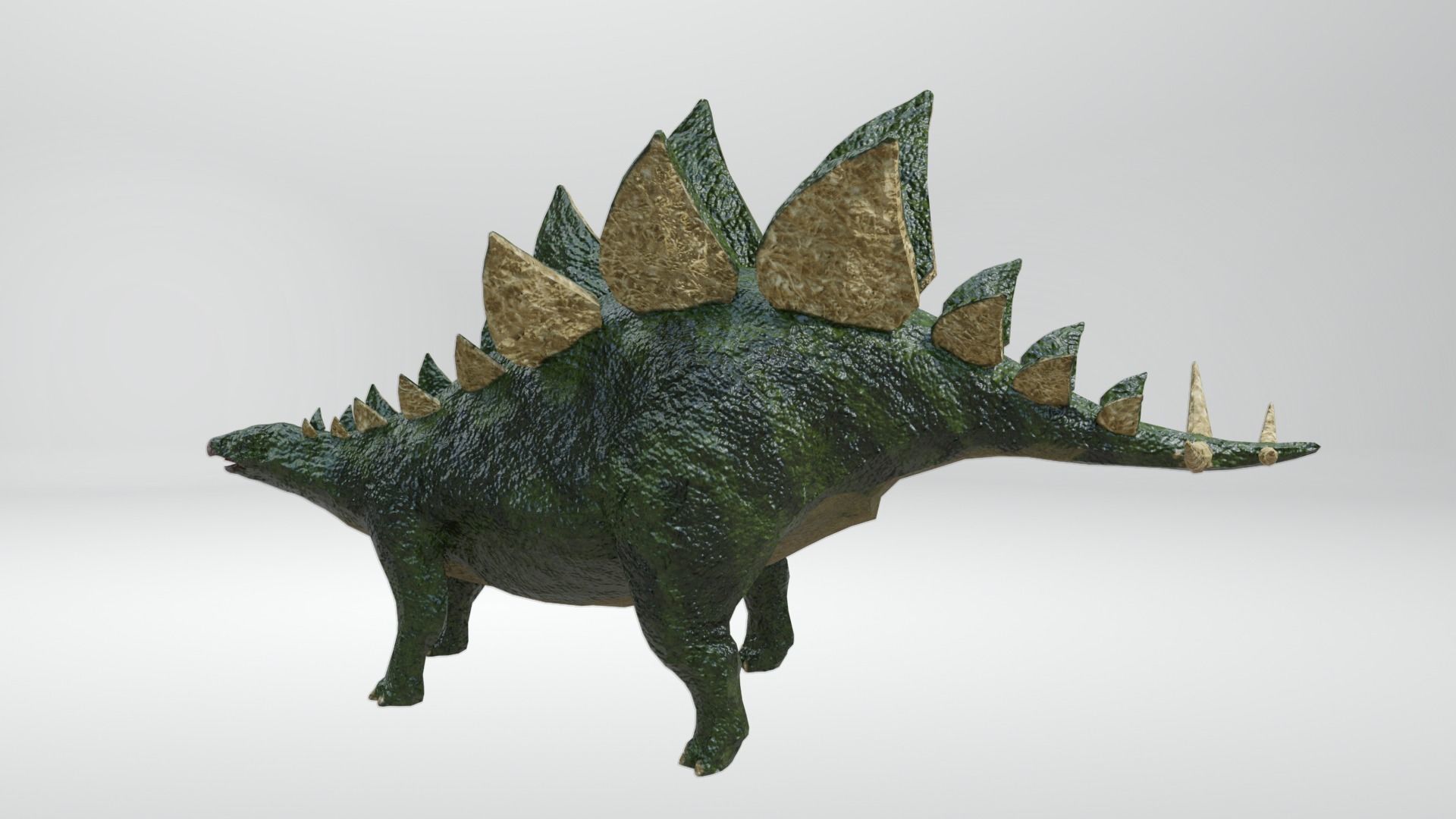 24 Dinosaur Models pack Low-Poly 3D model 3D Model Collection_48