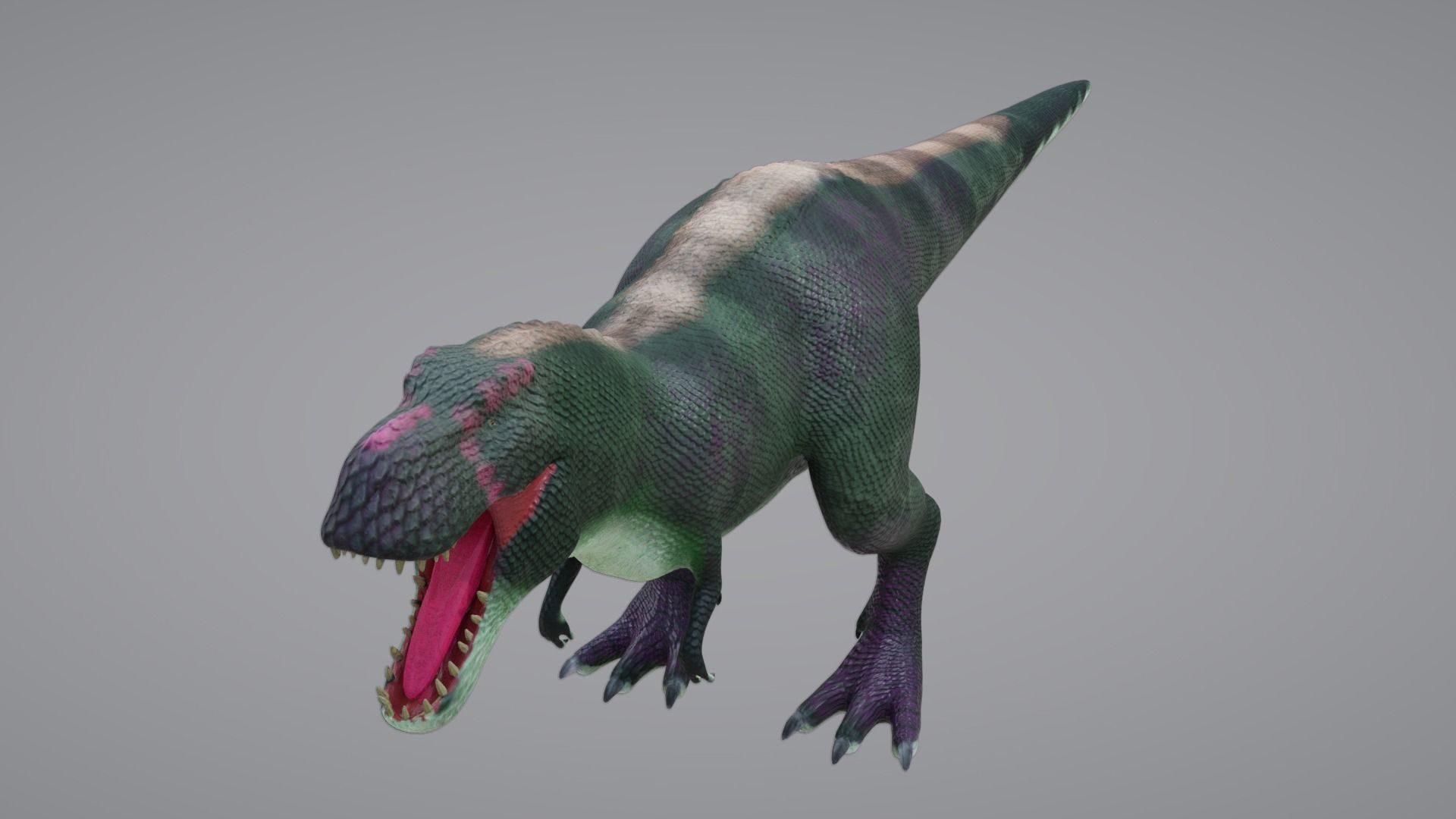 24 Dinosaur Models pack Low-Poly 3D model 3D Model Collection_56