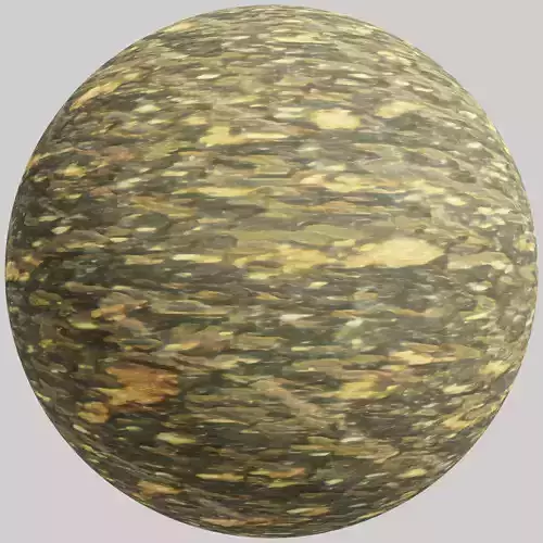 Forest ground - 4K PBR BRDF material