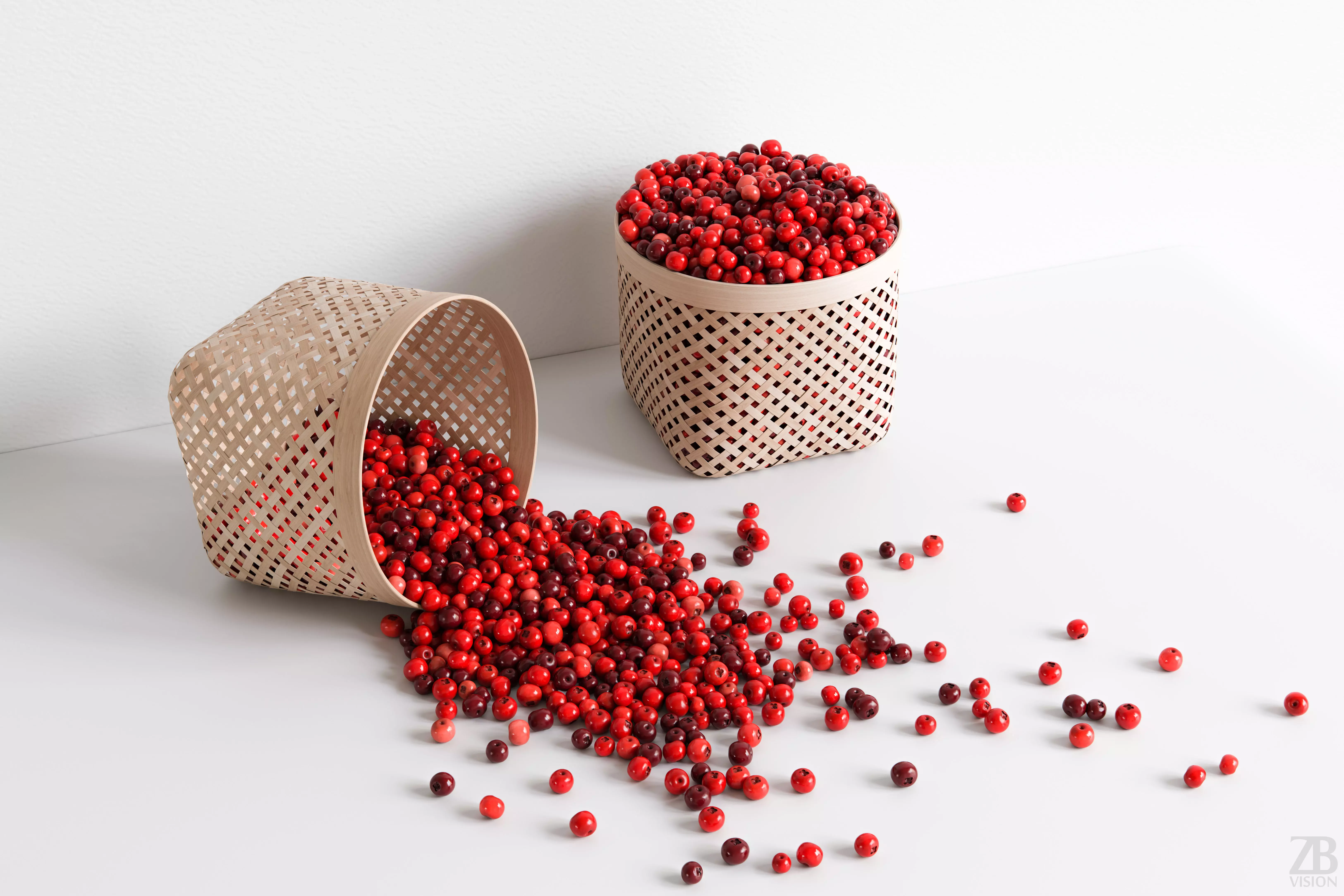 Lingonberry 3D model_0