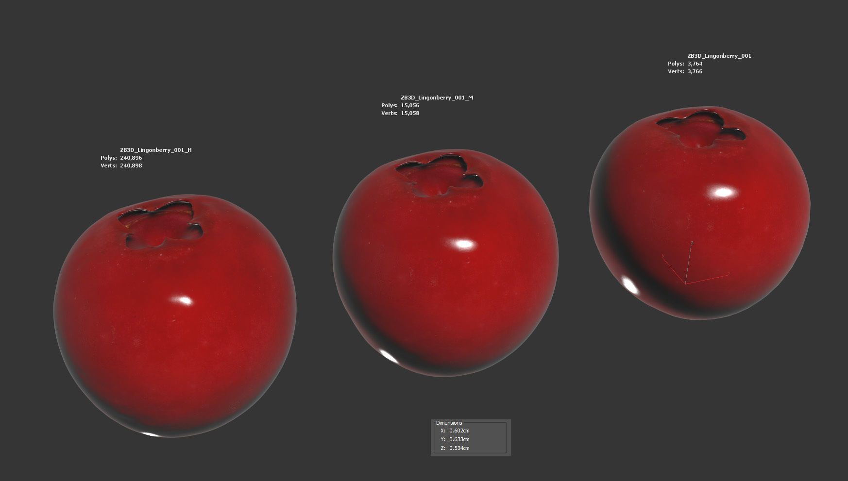 Lingonberry 3D model_5