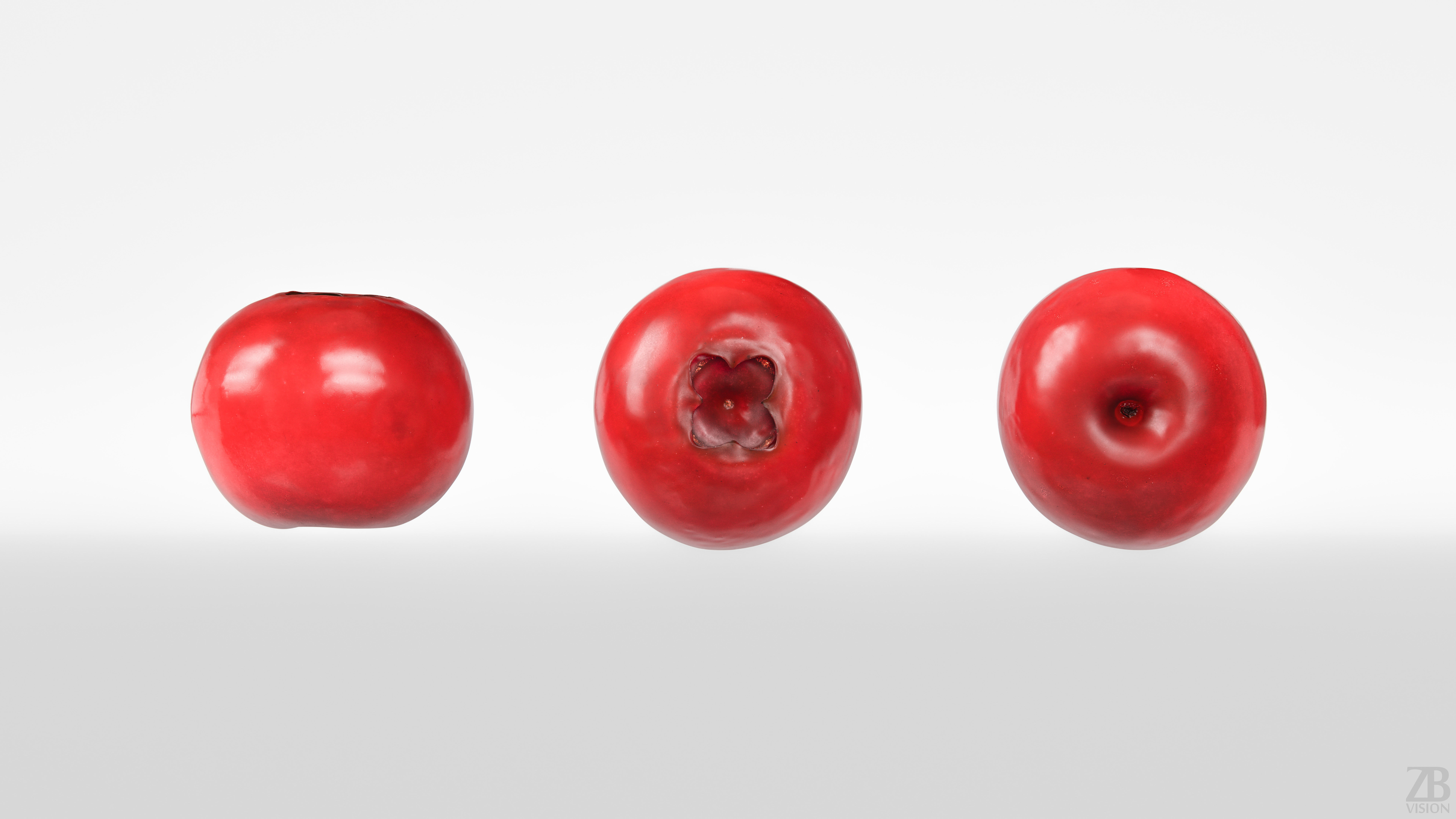 Lingonberry 3D model_4