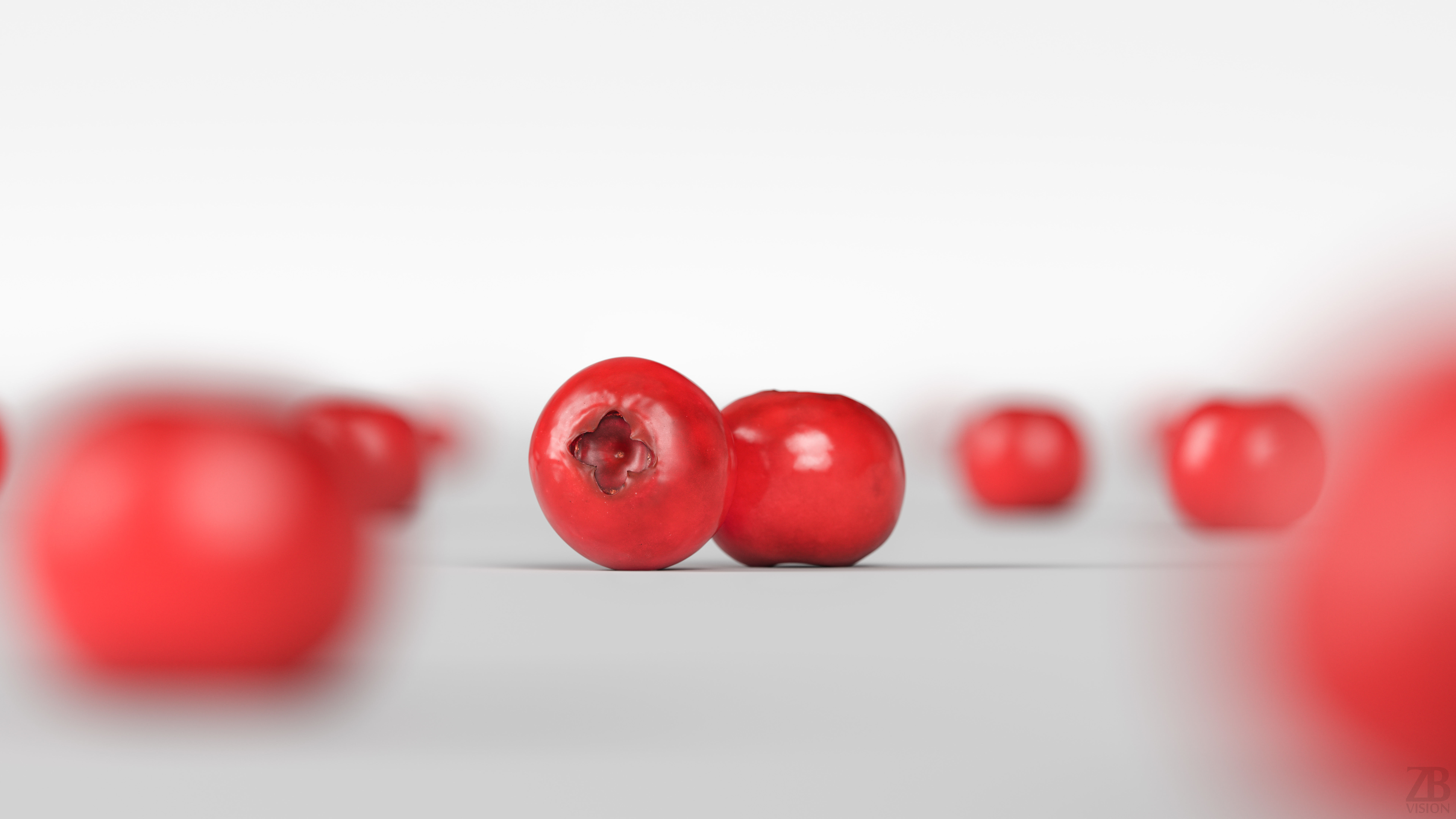 Lingonberry 3D model_1