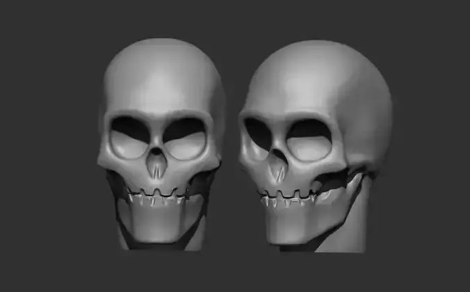 Skull Head