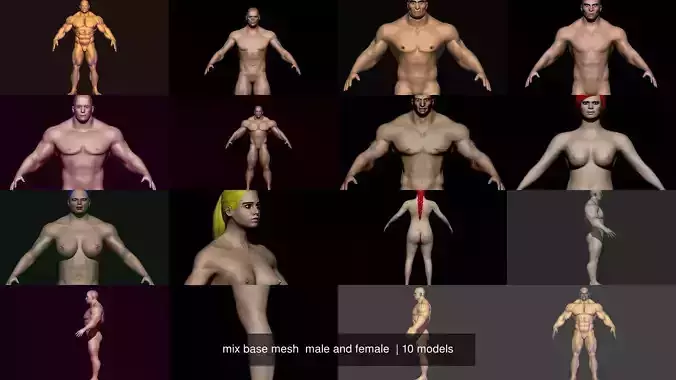 mix base mesh  male and female  3D Model Collection
