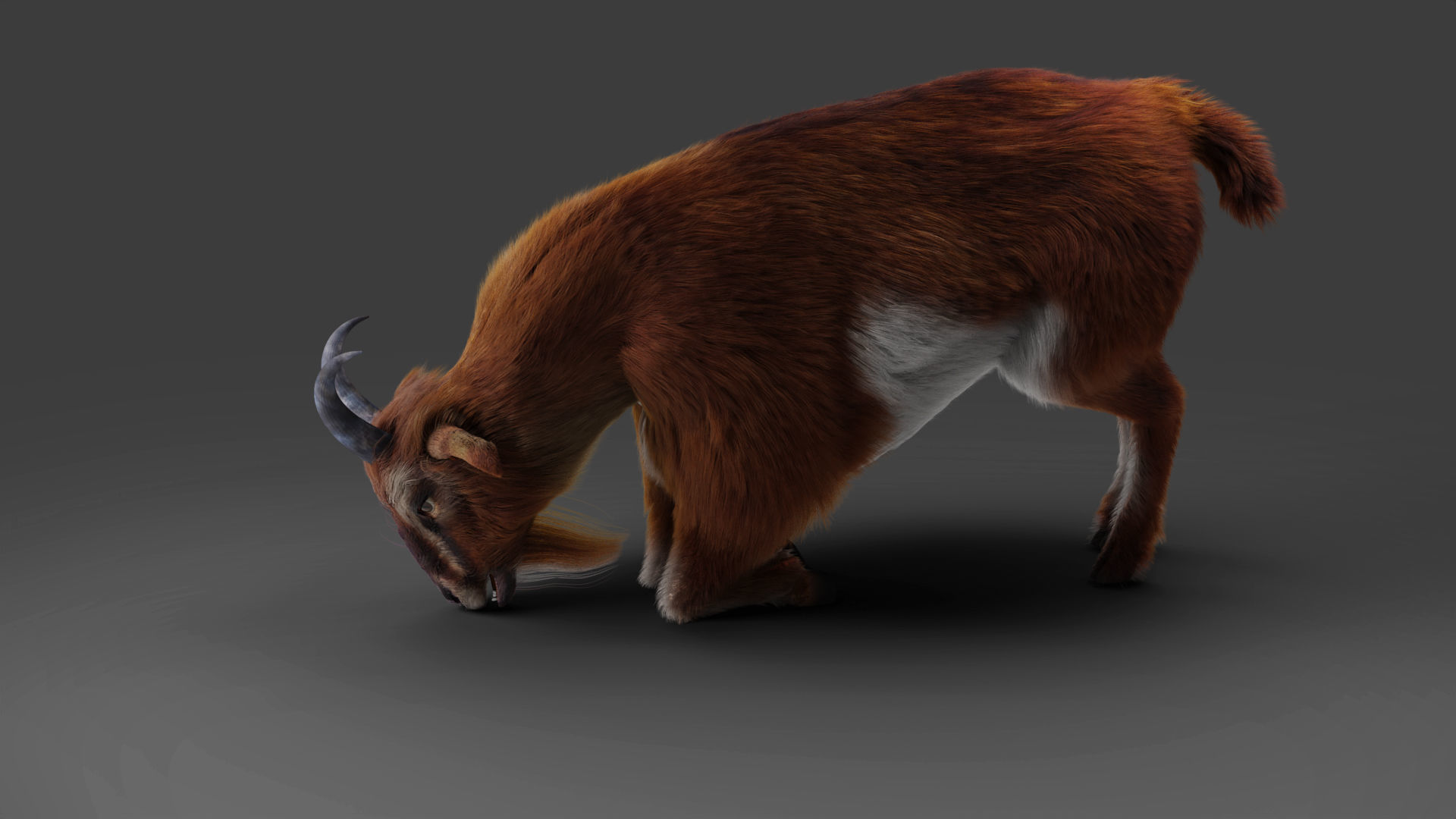 Fur Goat 04 Rigged and Animation Low-poly 3D model_4