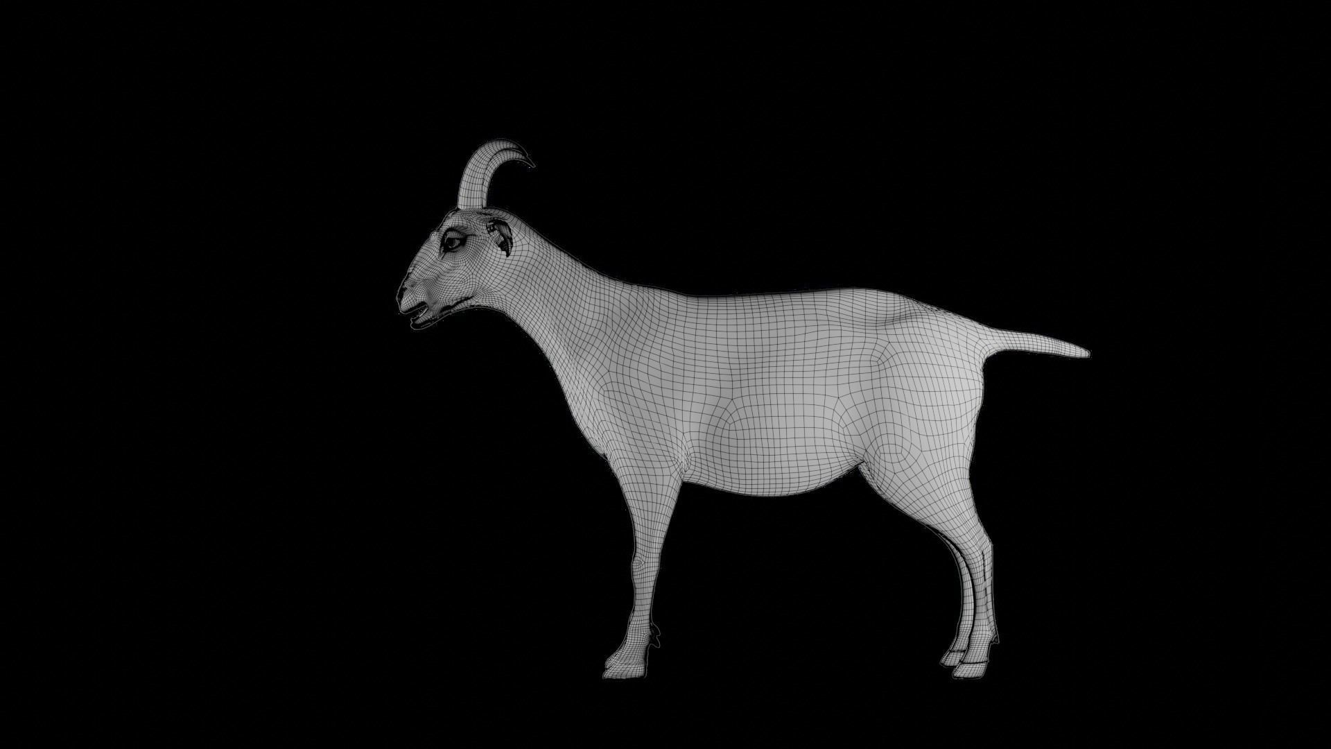 Fur Goat 04 Rigged and Animation Low-poly 3D model_25