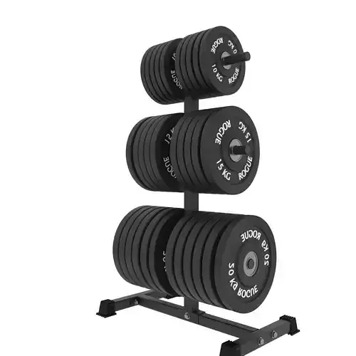 gym barbell rack with four weights