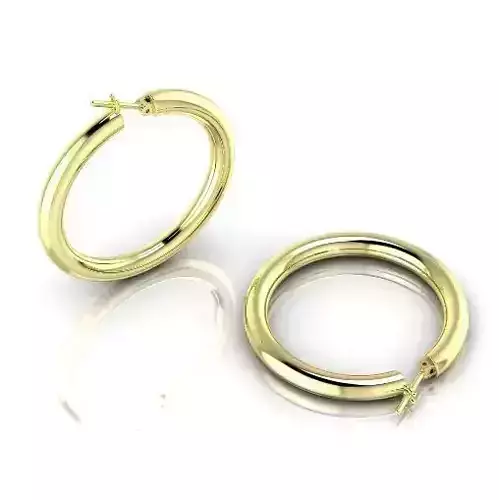 Earrings Model 2674