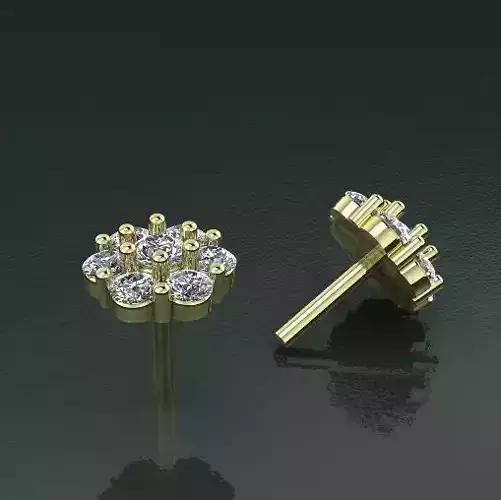 Earrings puset Model 2654