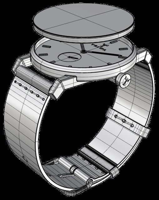 Triwa Falken Wrist Watch Free 3D model_3