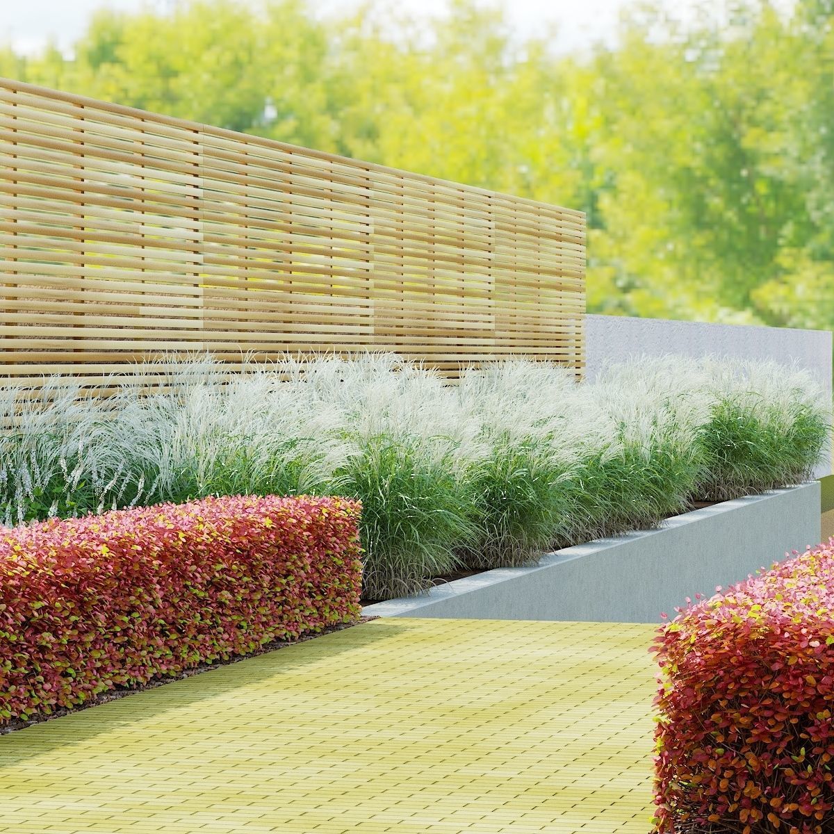 Spiraea betulifolia autumn 3D model_6