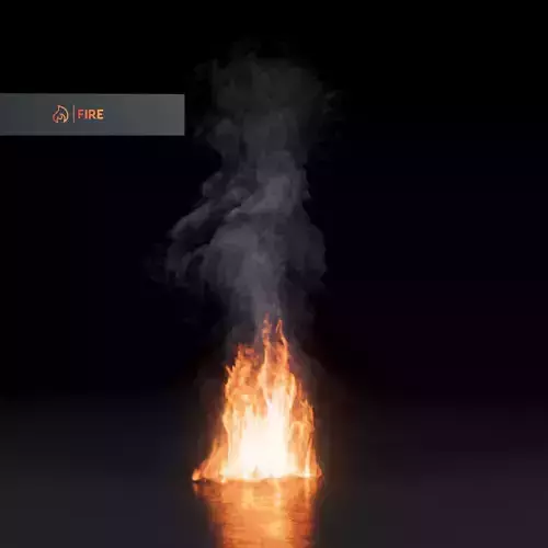 3D Campfire Animation 3D model