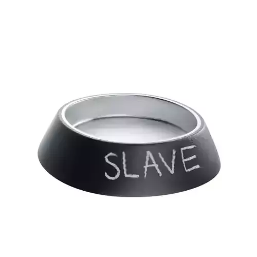 BDSM NSFW Erotic Adult Dom Slave Food Bowl Sex Toy