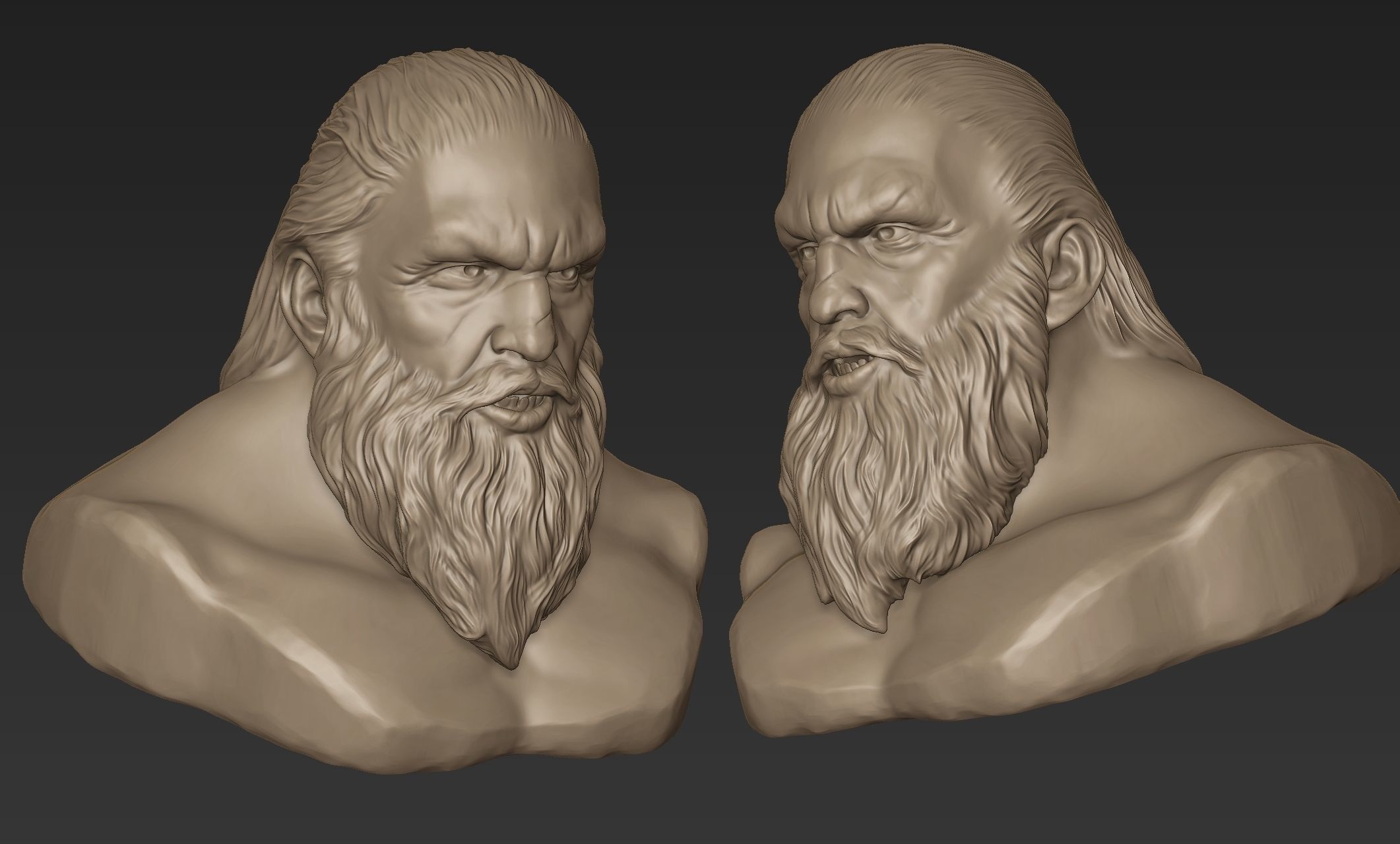 Bearded Man Bust 3D model_9