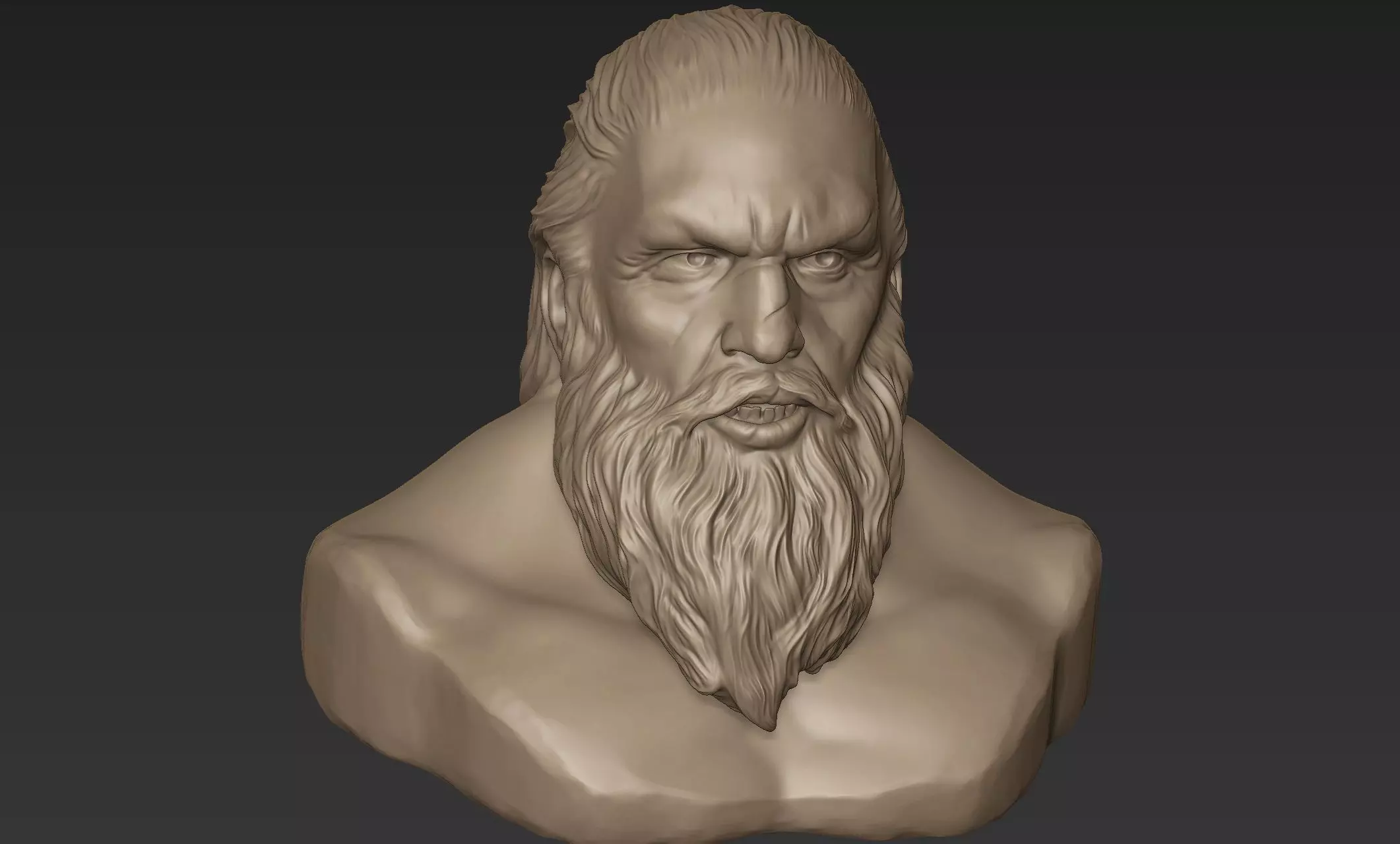 Bearded Man Bust 3D model_0