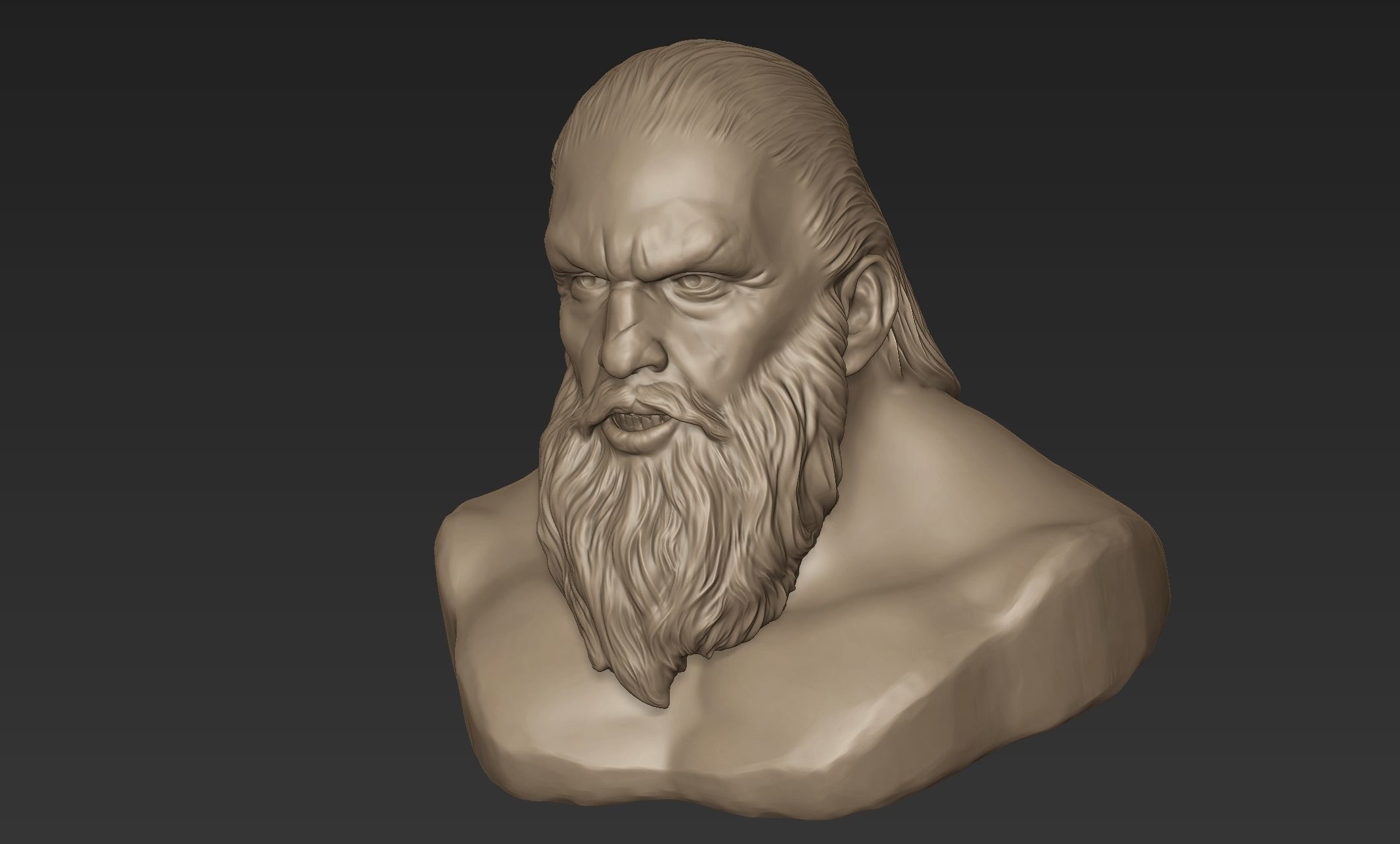 Bearded Man Bust 3D model_8