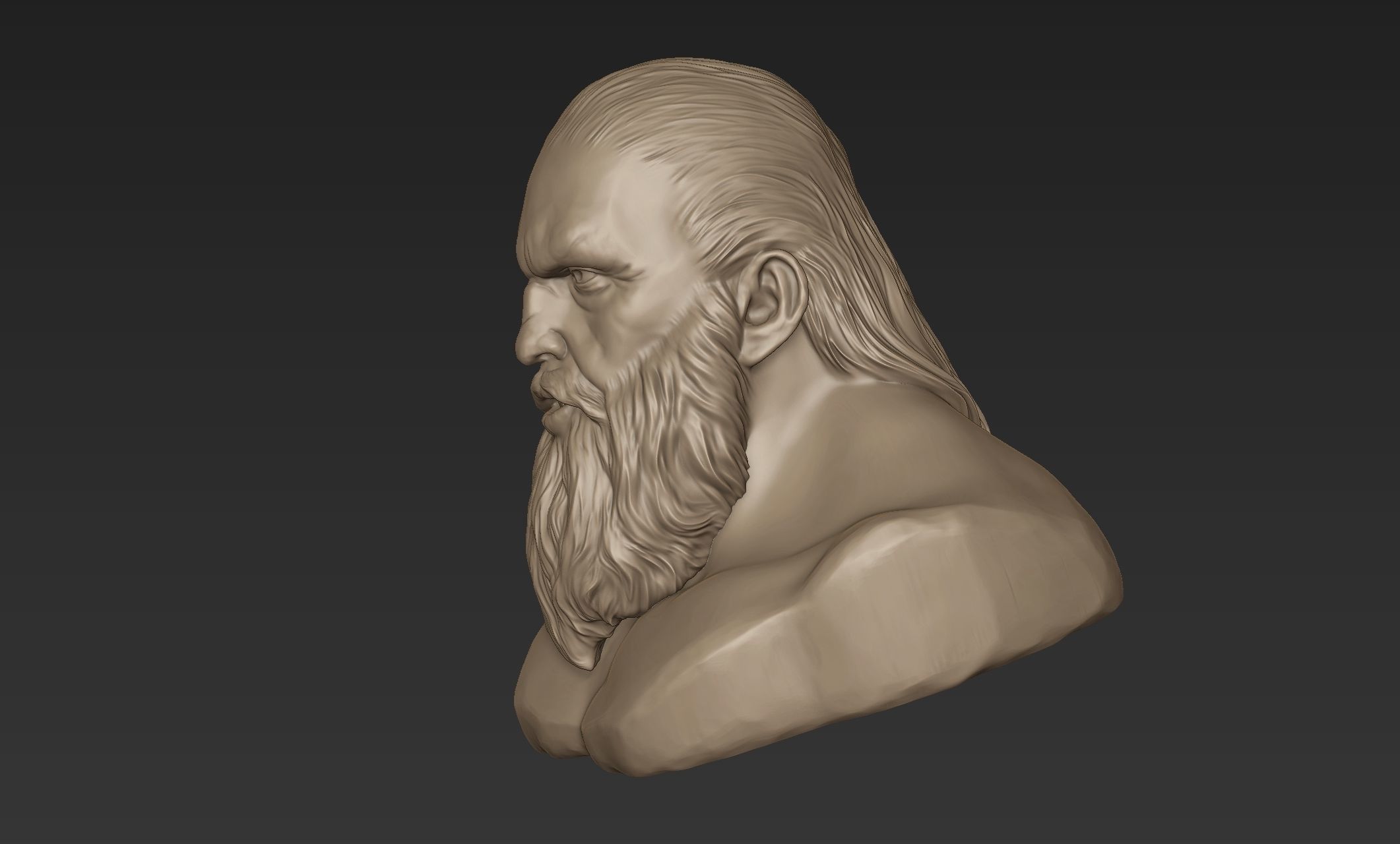 Bearded Man Bust 3D model_3