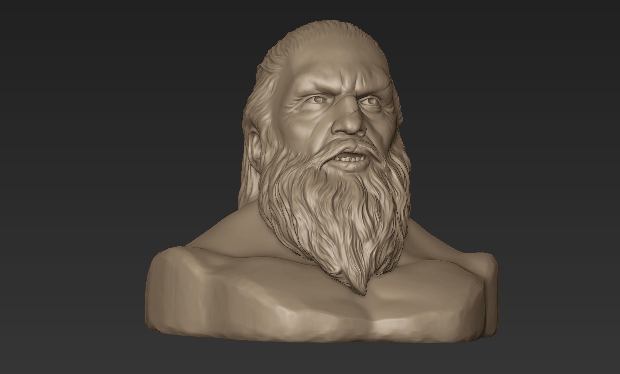 Bearded Man Bust 3D model_7