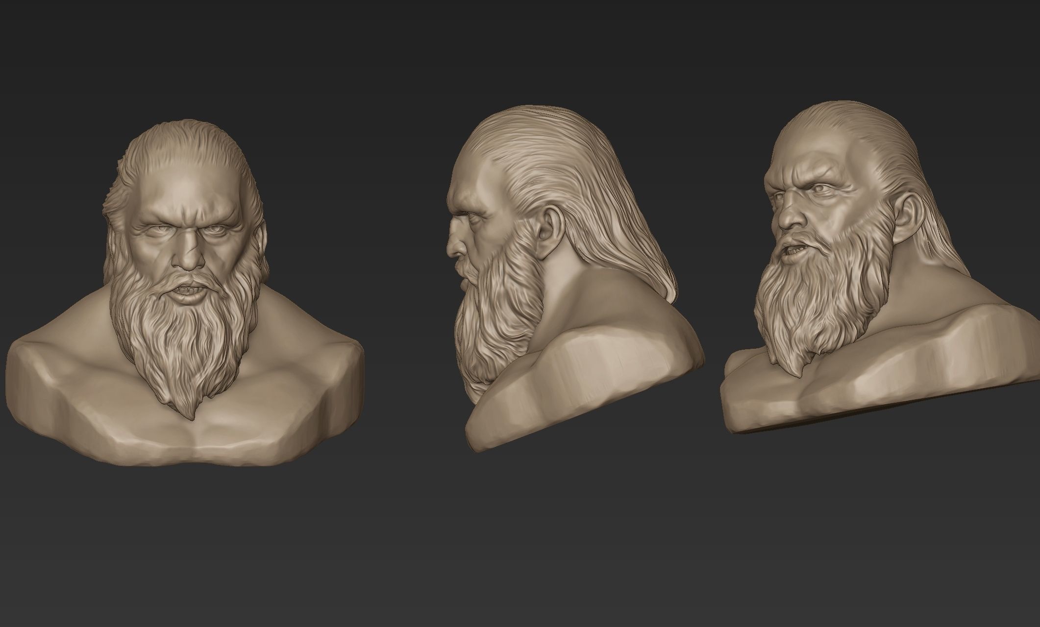 Bearded Man Bust 3D model_10