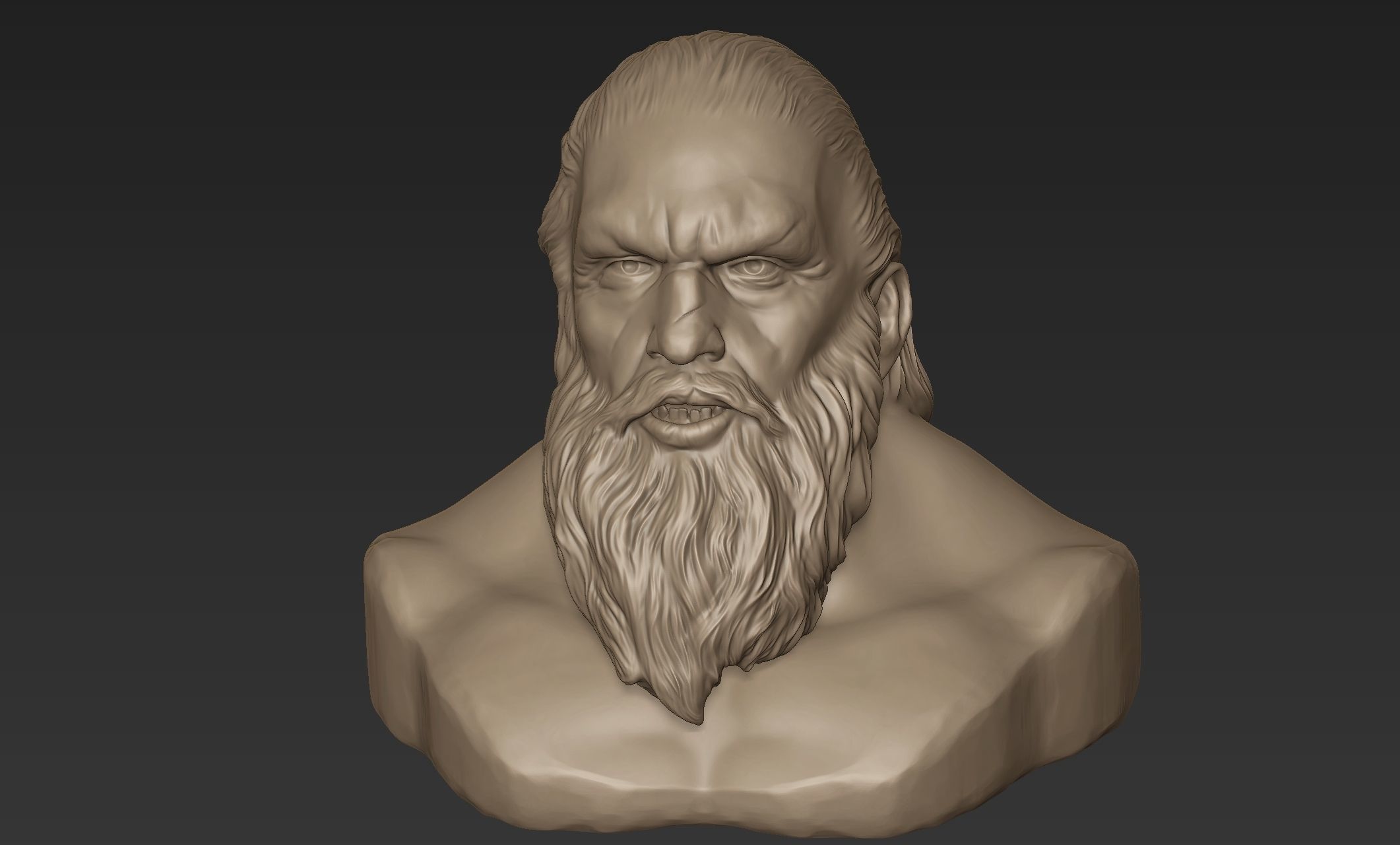 Bearded Man Bust 3D model_1