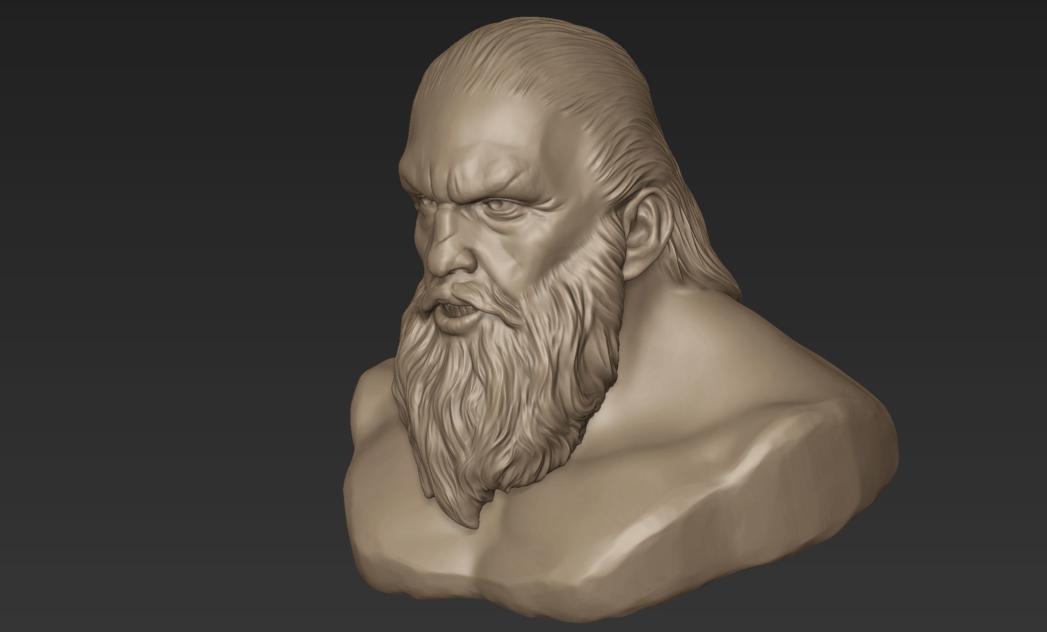 Bearded Man Bust 3D model_2