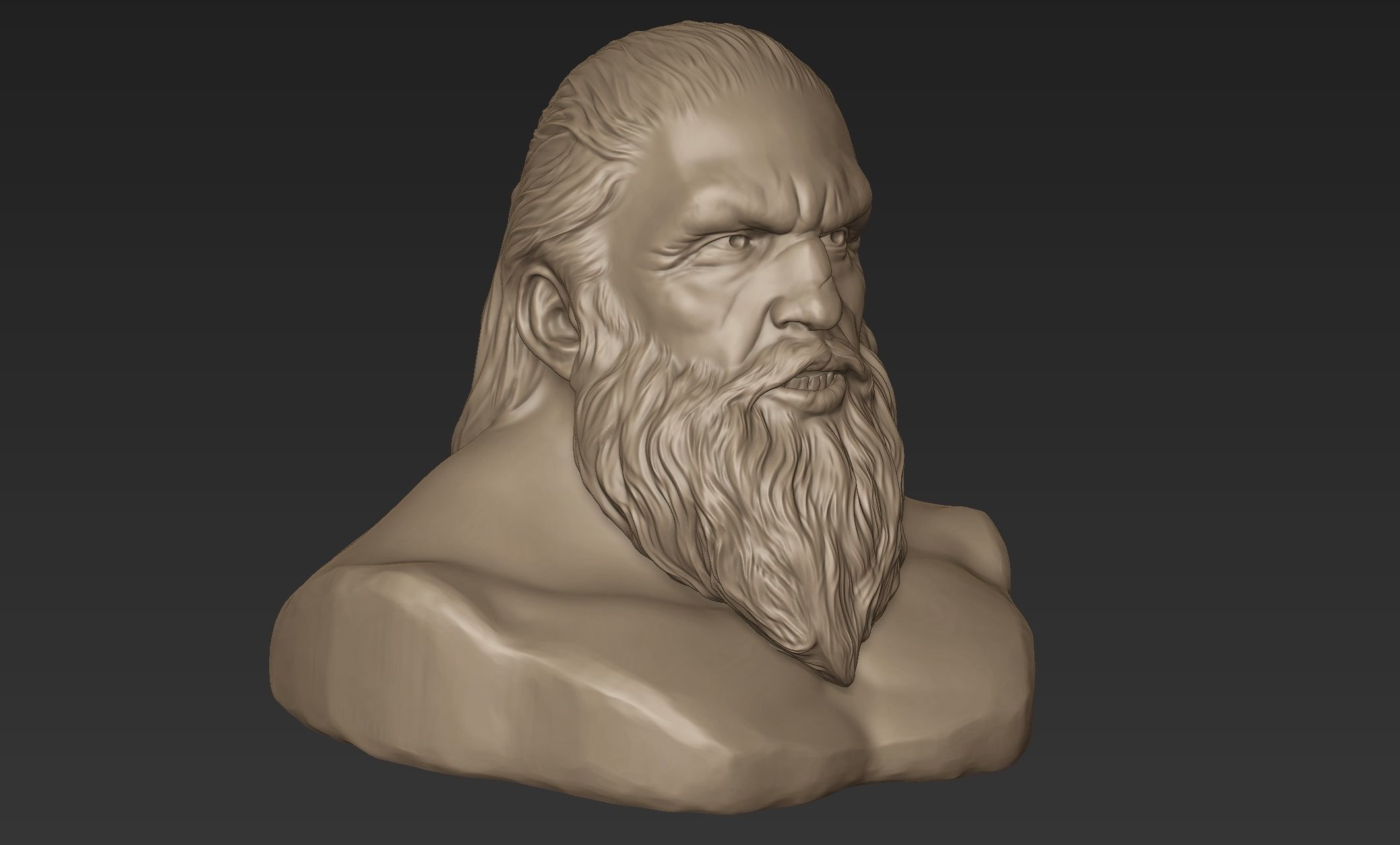 Bearded Man Bust 3D model_5
