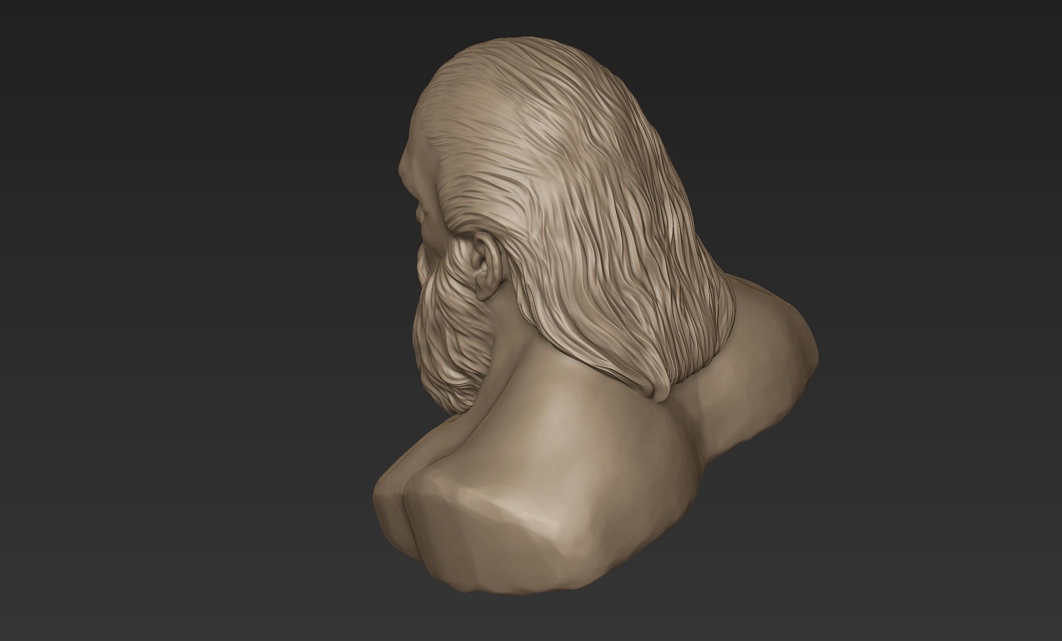 Bearded Man Bust 3D model_4