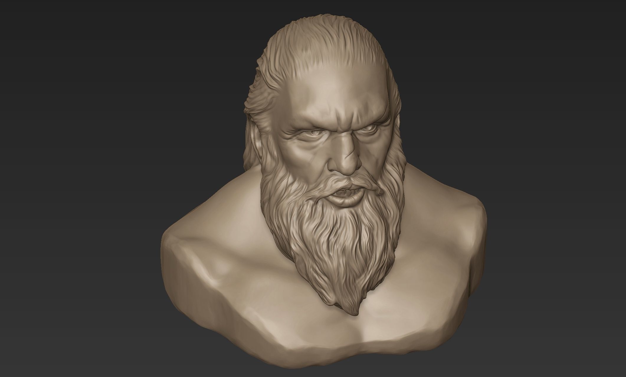 Bearded Man Bust 3D model_6