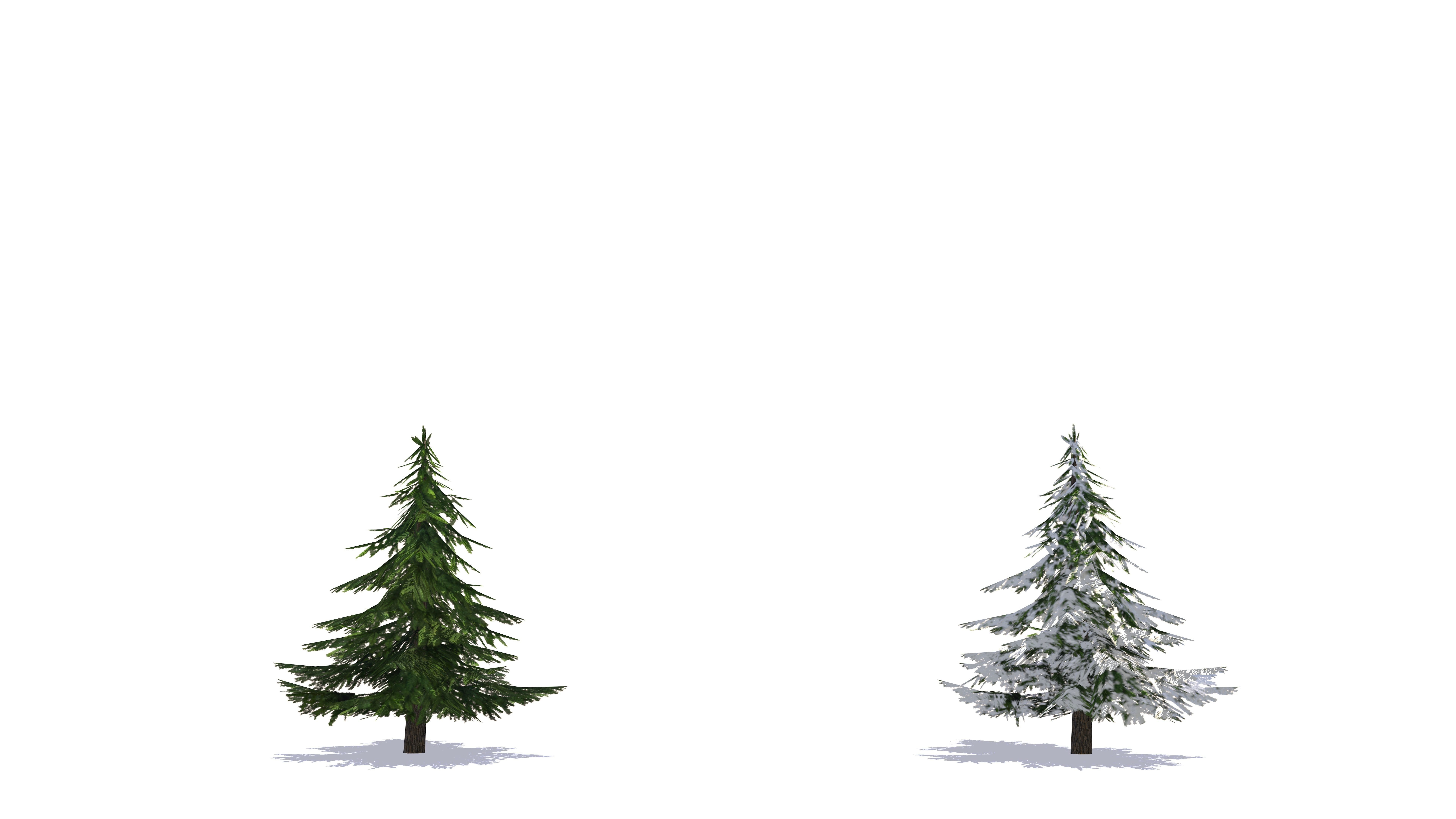 Fir Trees - Game Ready Low-poly 3D model_6