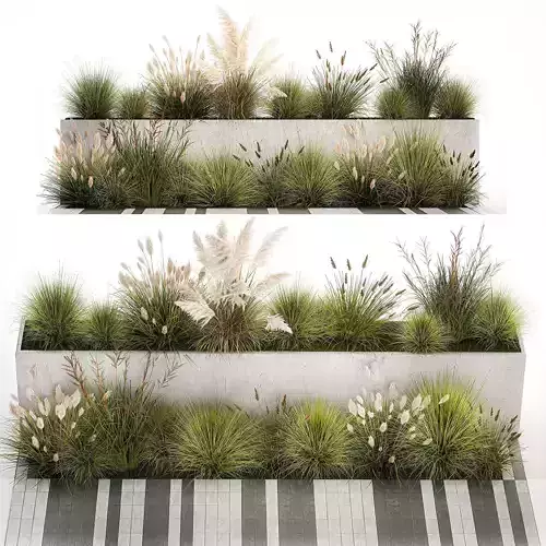 Bushes For Landscaping With Pampas Grass 1169 3D model