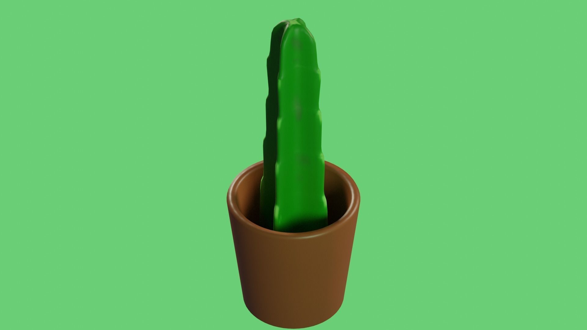 Cactus plant Free 3D model_4