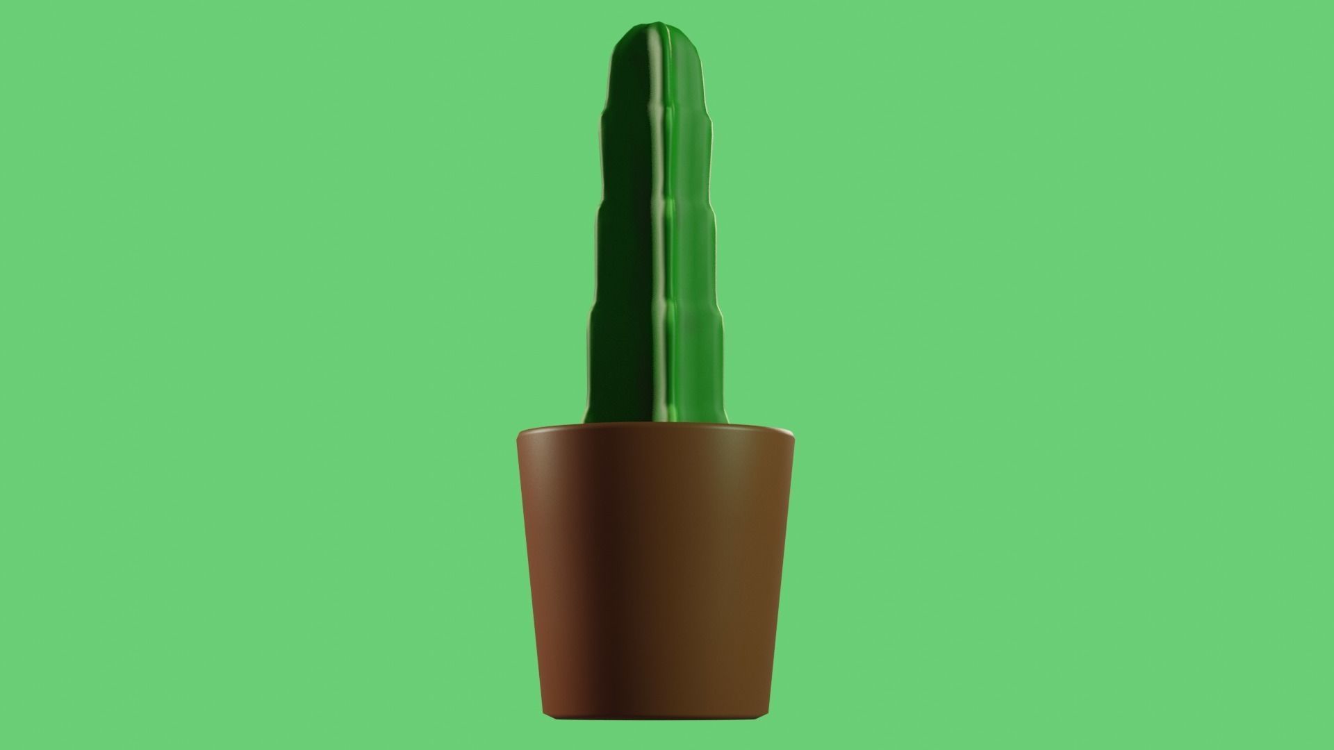 Cactus plant Free 3D model_3