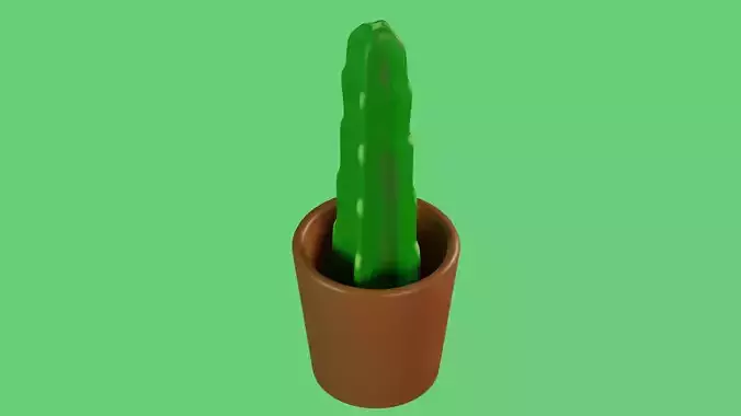 Cactus plant