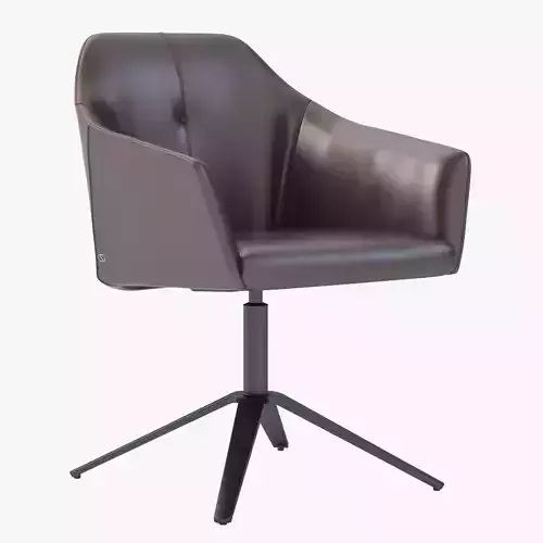 Easy Chair Ds-279-101 By De Sede