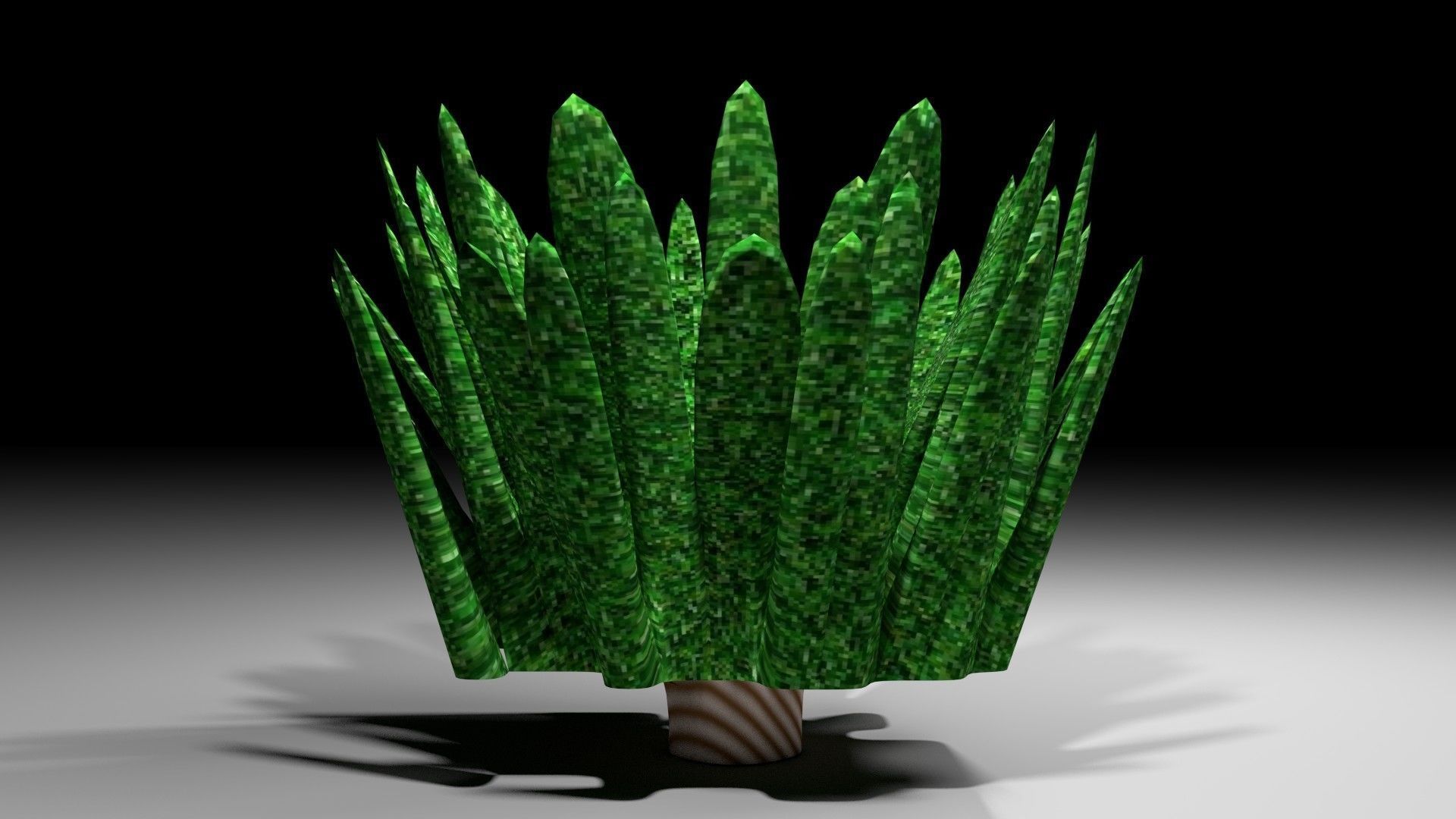 Shrub 5 plant 3D model_1