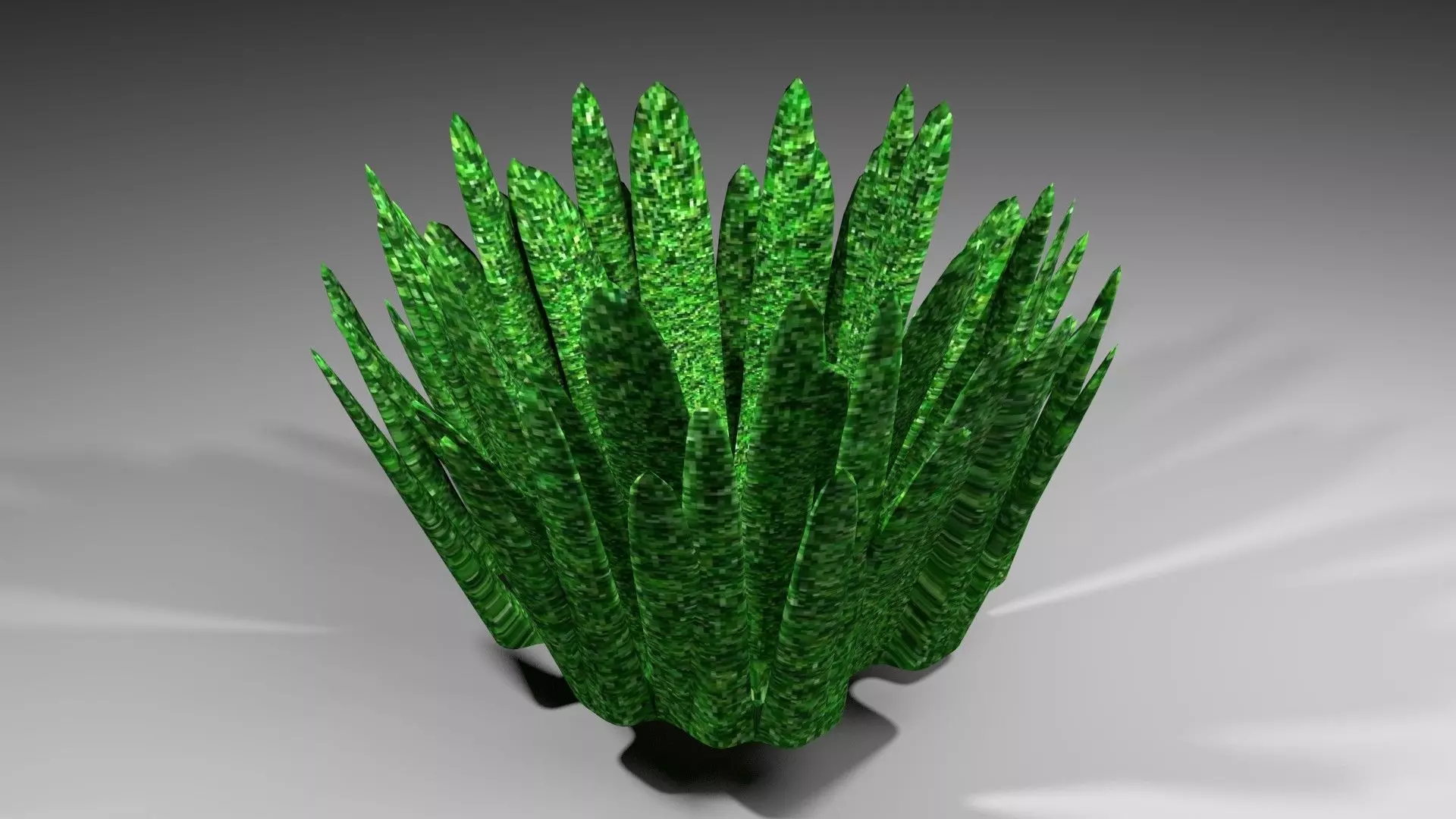 Shrub 5 plant 3D model_0