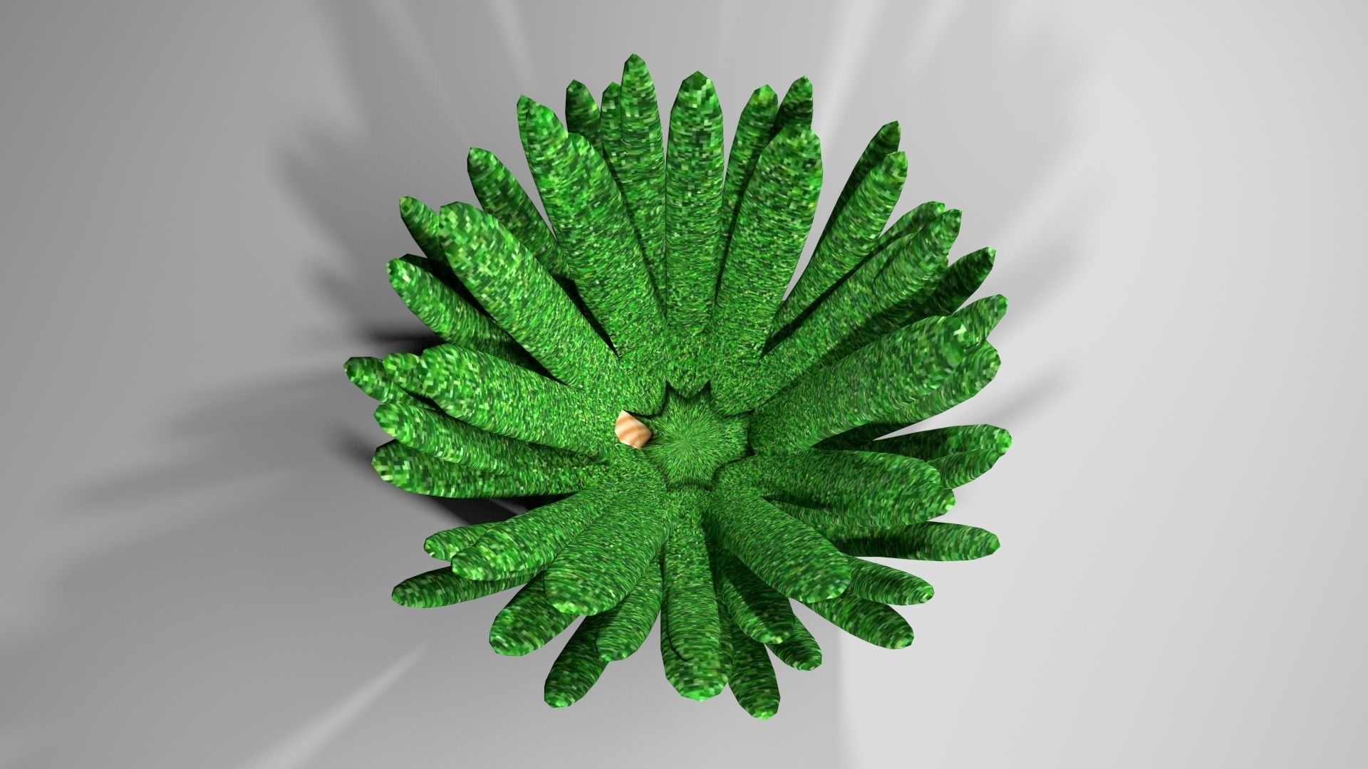 Shrub 5 plant 3D model_2